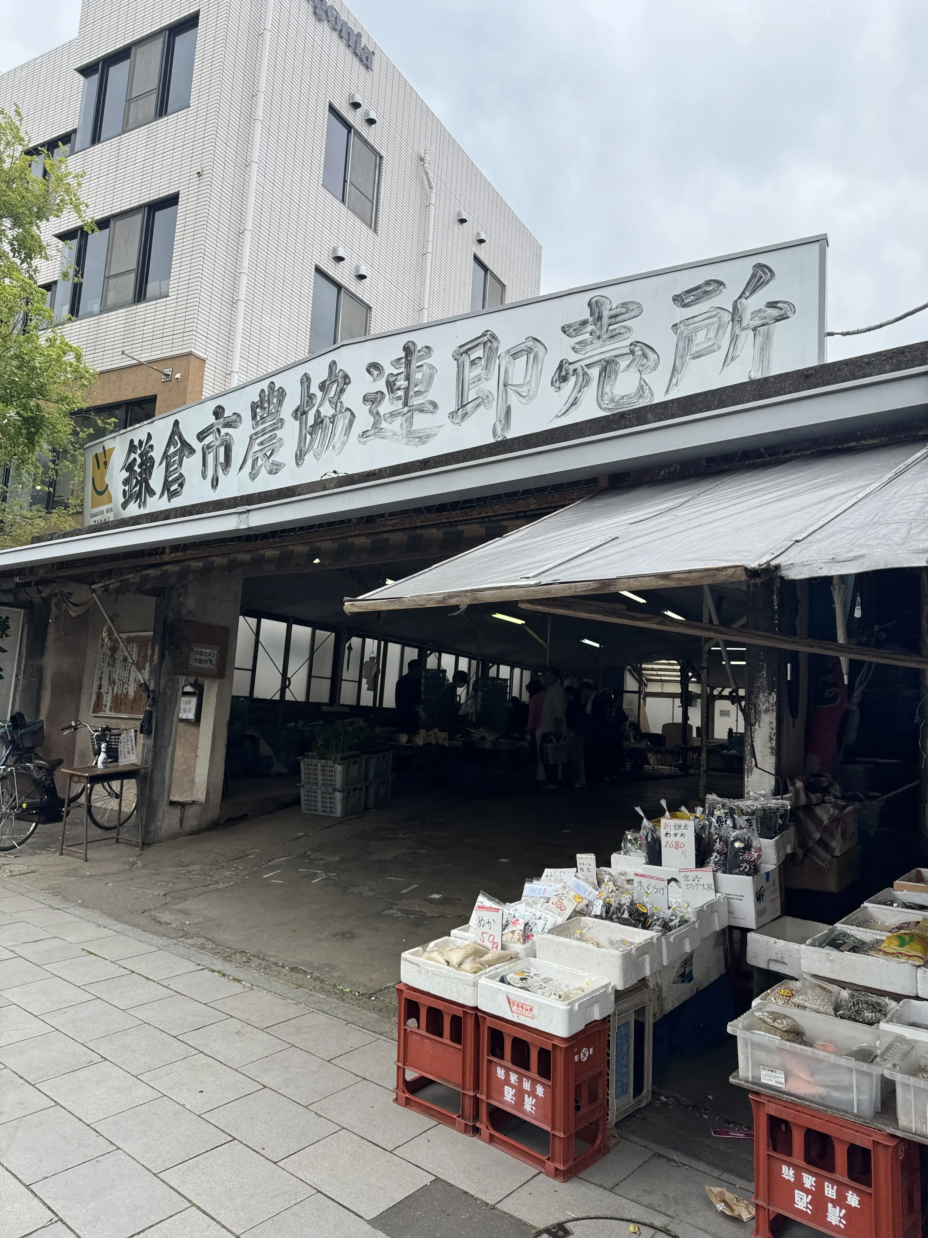 新緑の清々しい風を感じに鎌倉へ🌿_1_16