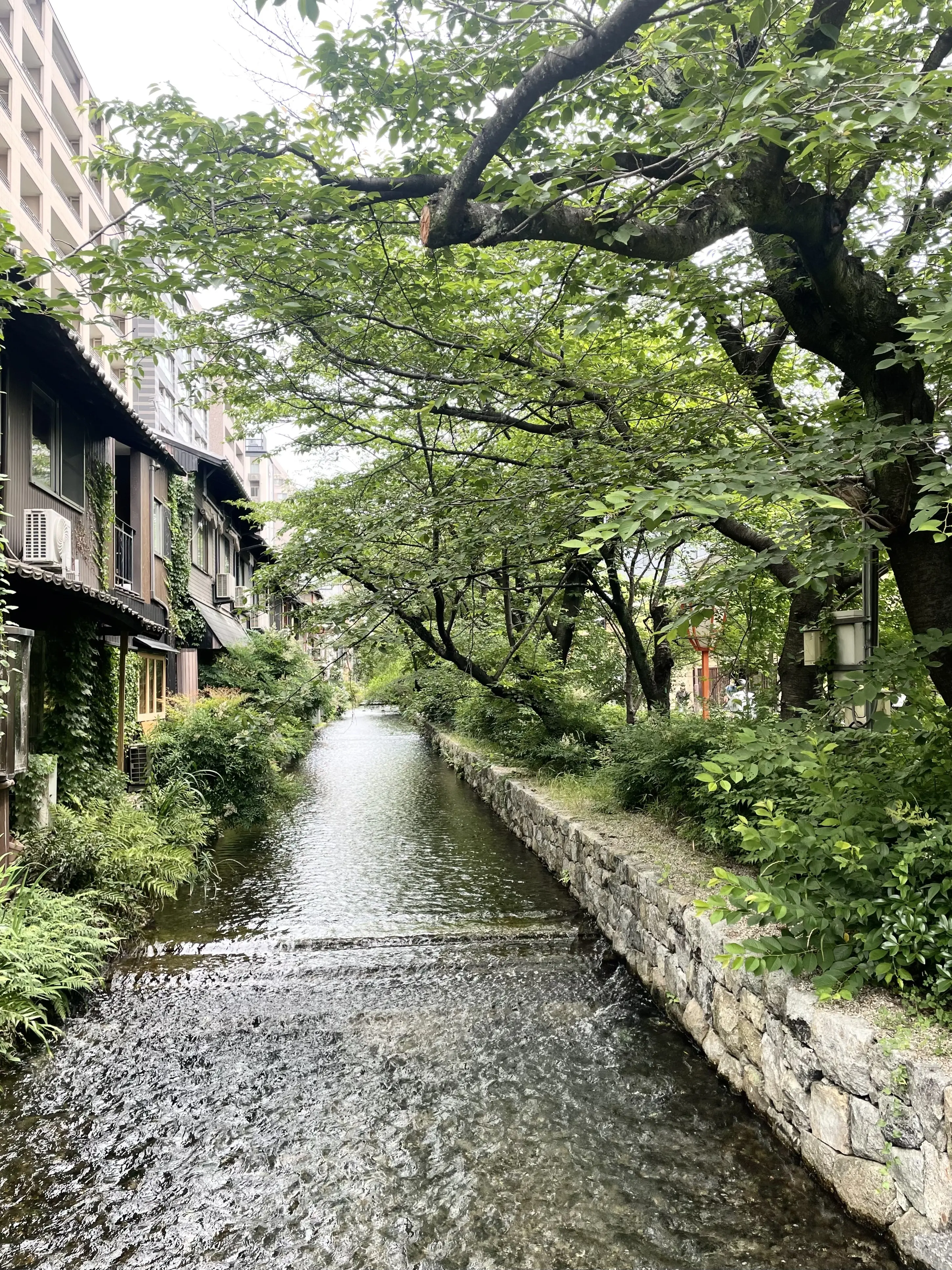 梅雨入りした6月初旬、京都のフォションホテルへ_1_1-2