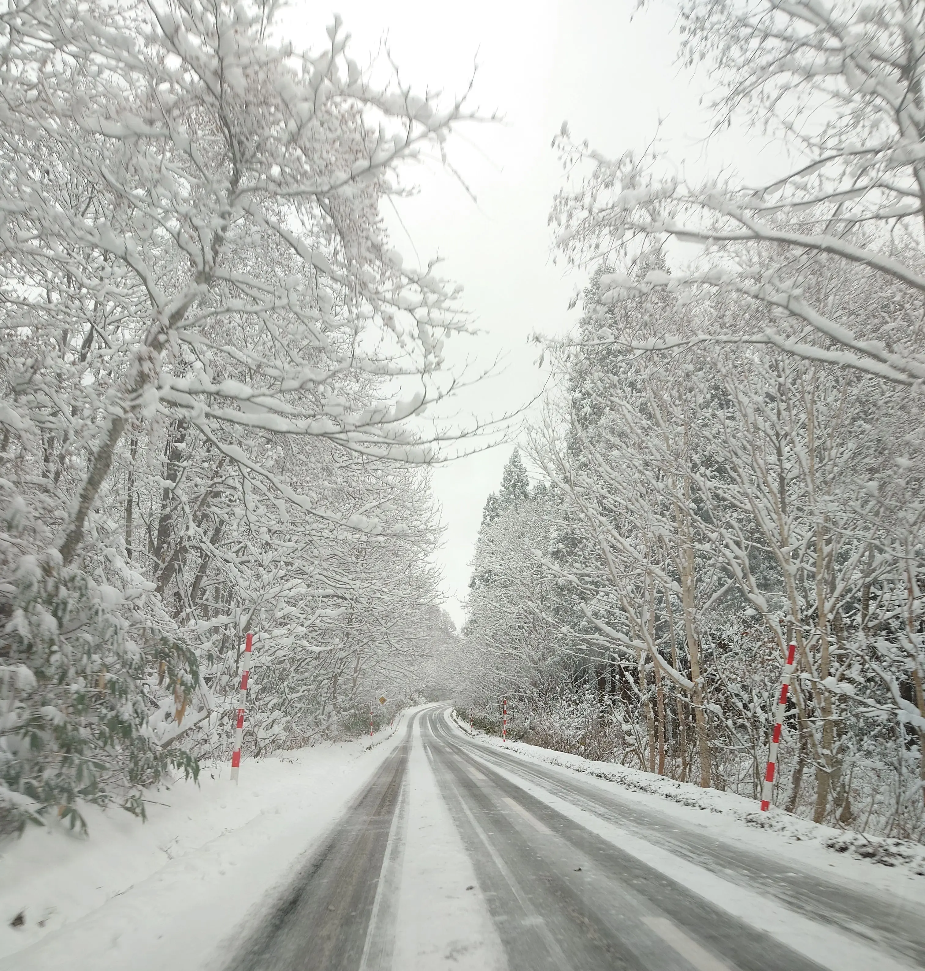 雪の山道②