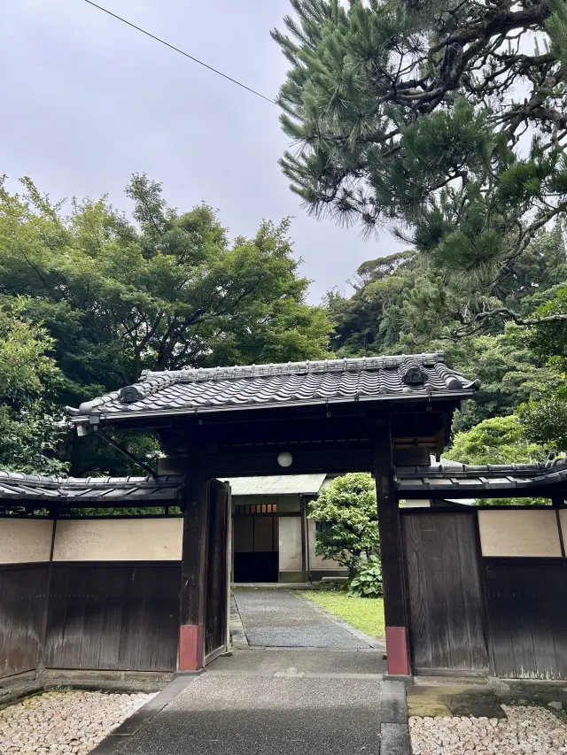 アラフィフ浴衣でお出かけ_1_1