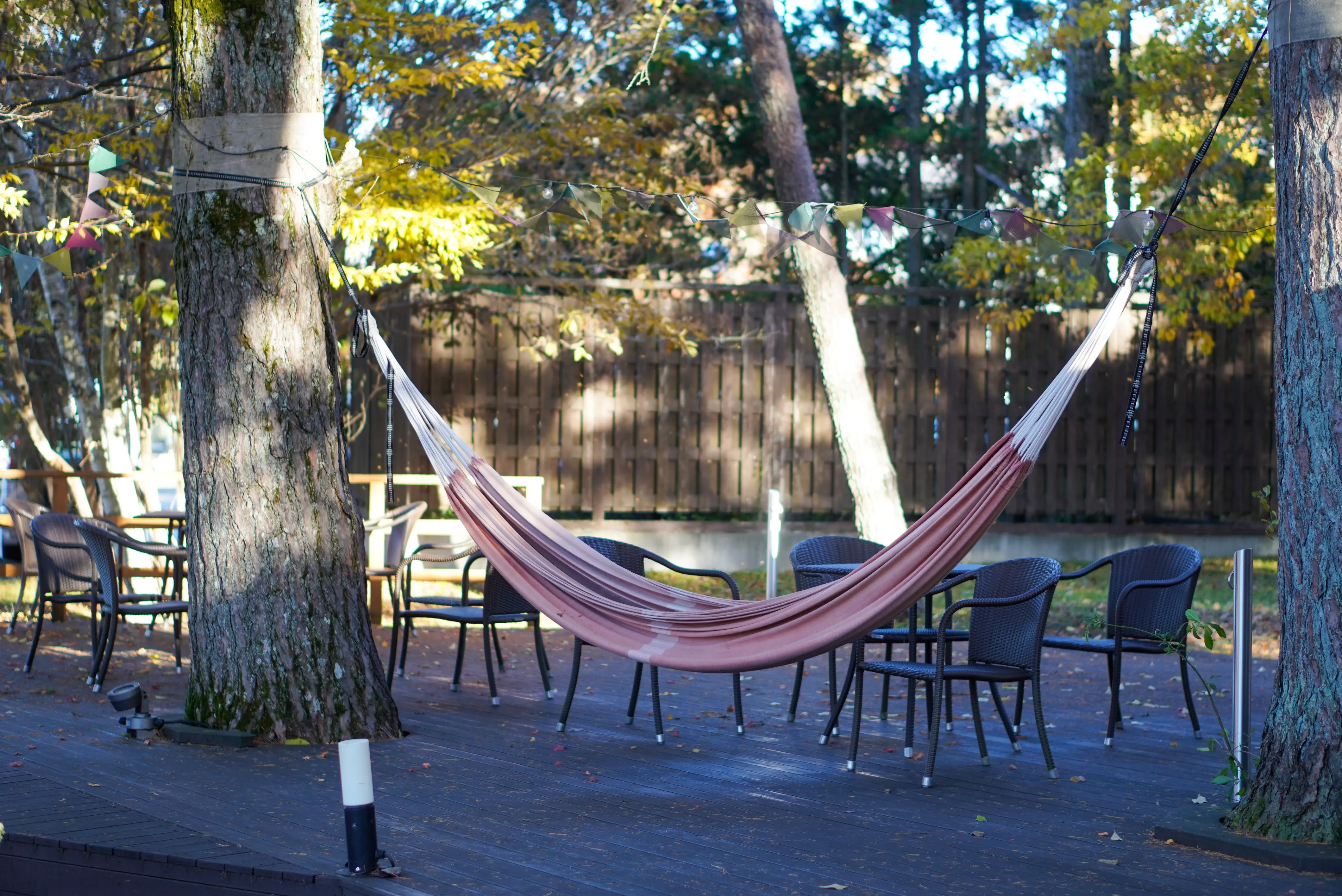 彩りの秋、紅葉真っ盛りの山中湖ドライブ♪熱々ほうとうや超人気カフェ♪_1_11-2