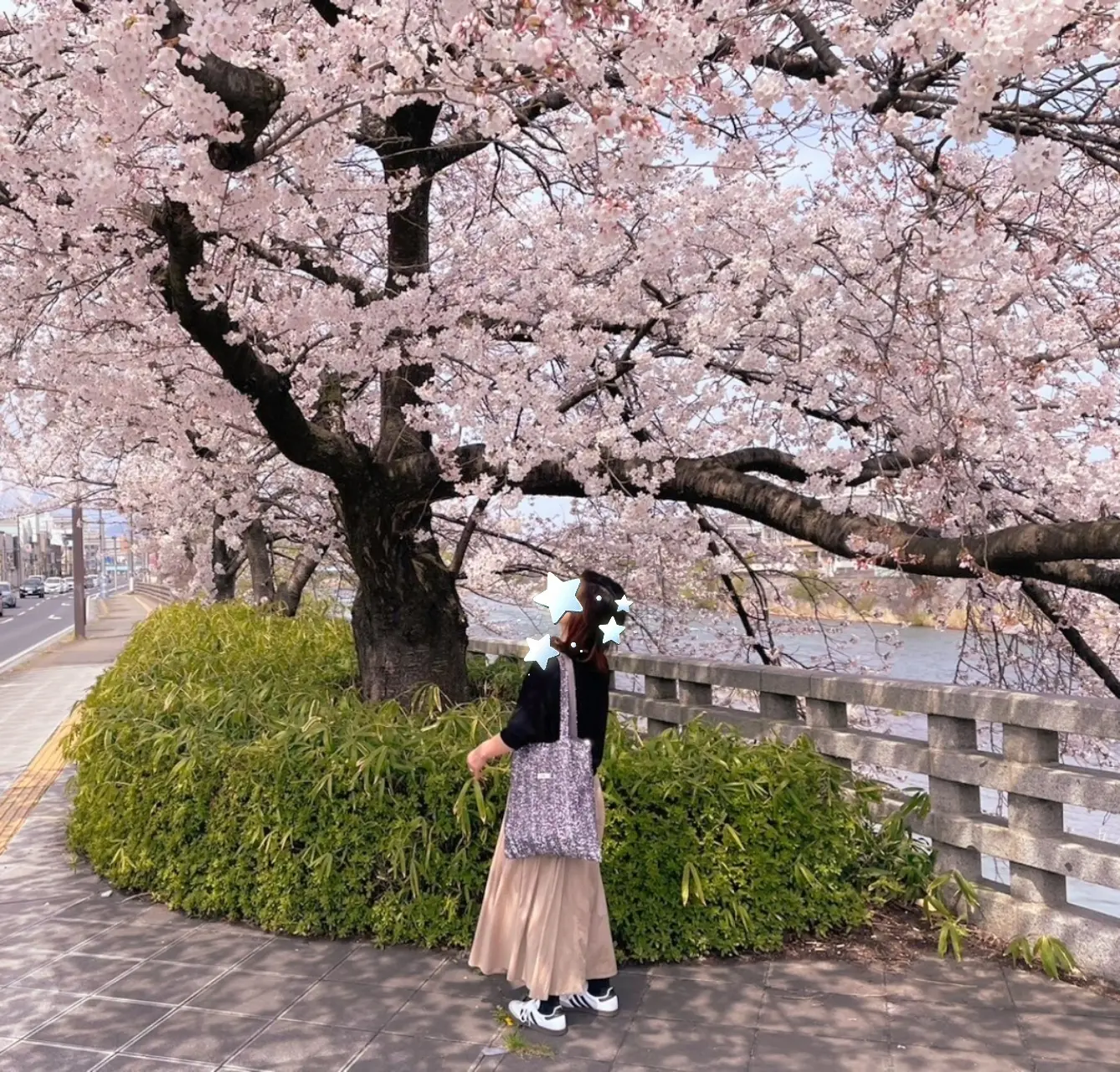 東北に桜の季節がやってきました🌸_1_9