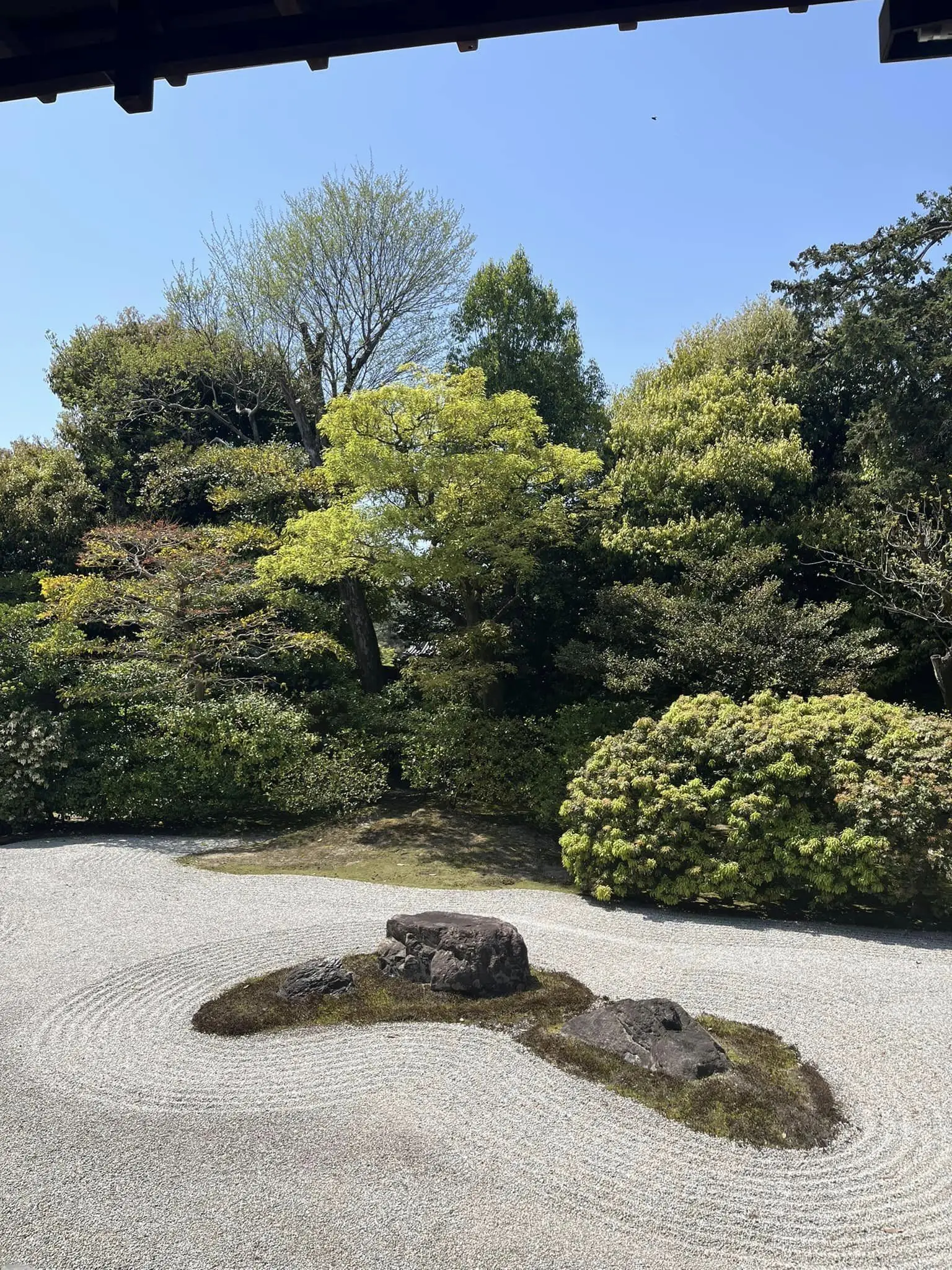 京都日帰り旅行_1_11-1