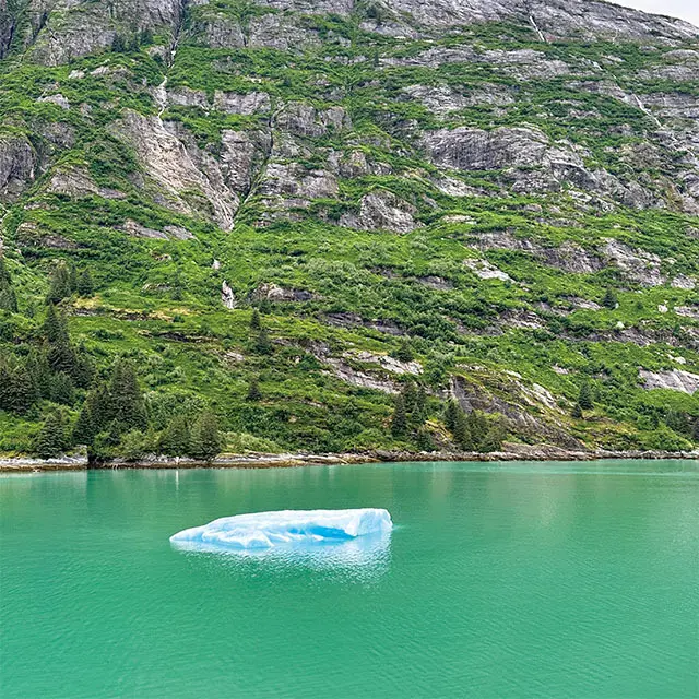 氷河が海 に崩れ落ちた氷山。アザラシがのんび りと休んでいることも