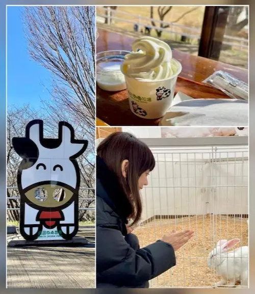 2025年 初おでかけは、成田ゆめ牧場へ♪ | チームJマダム MIOのブログ