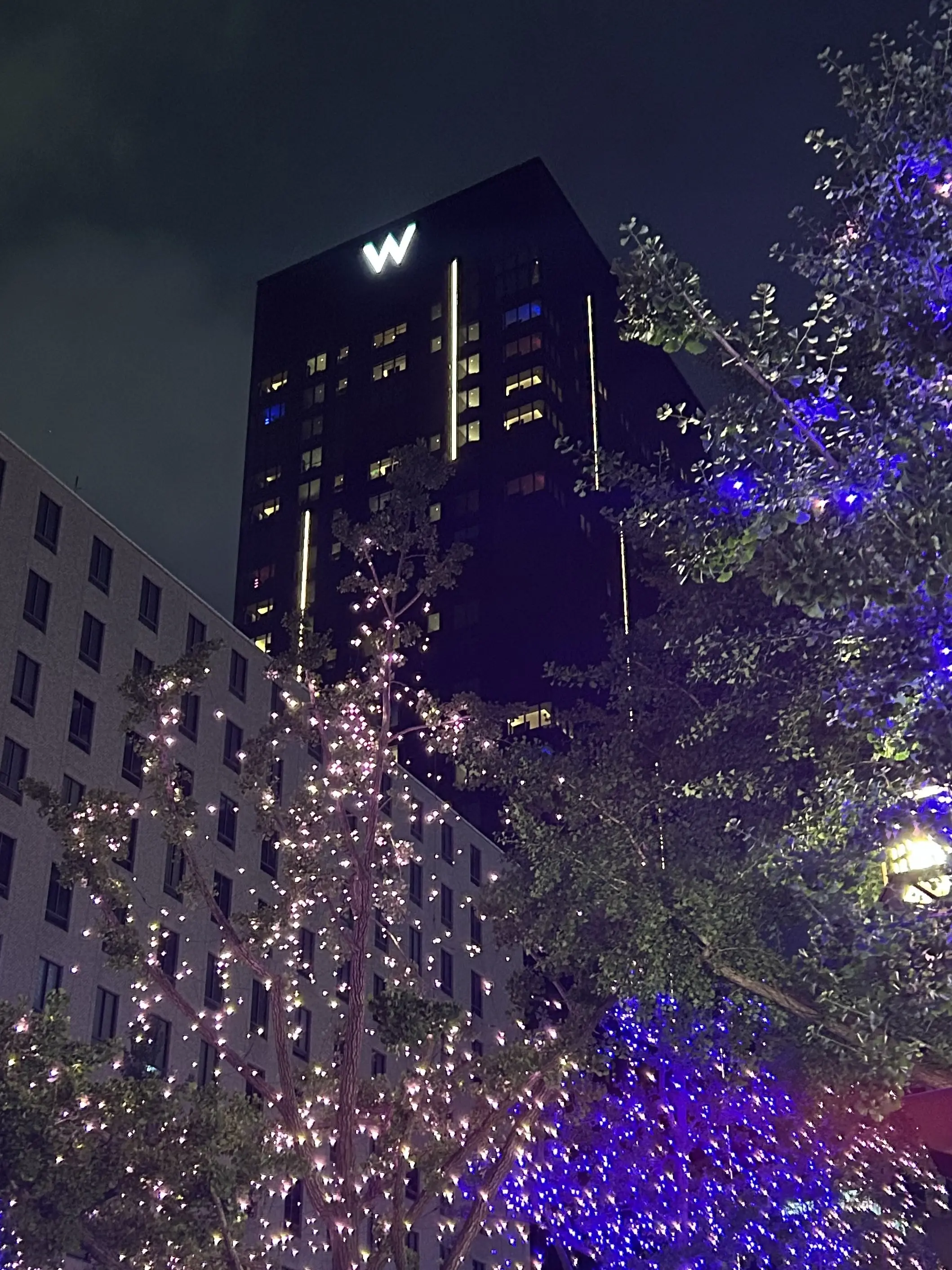 イルミネーションが煌びやかな御堂筋✨「W大阪」へ✨_1_23