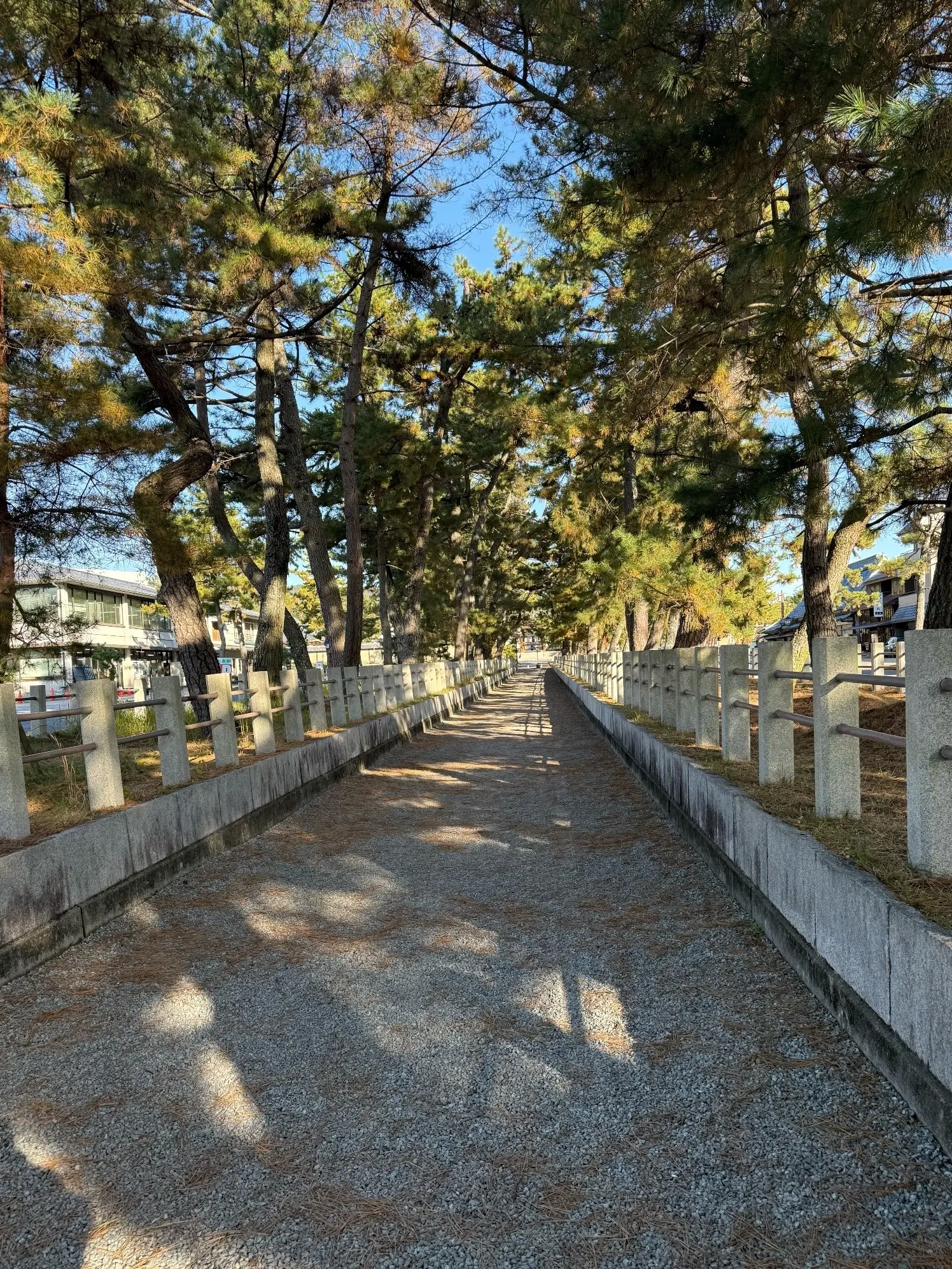 【大人旅 奈良】1300年以上の歴史を持つ世界文化遺産「法隆寺」_1_4