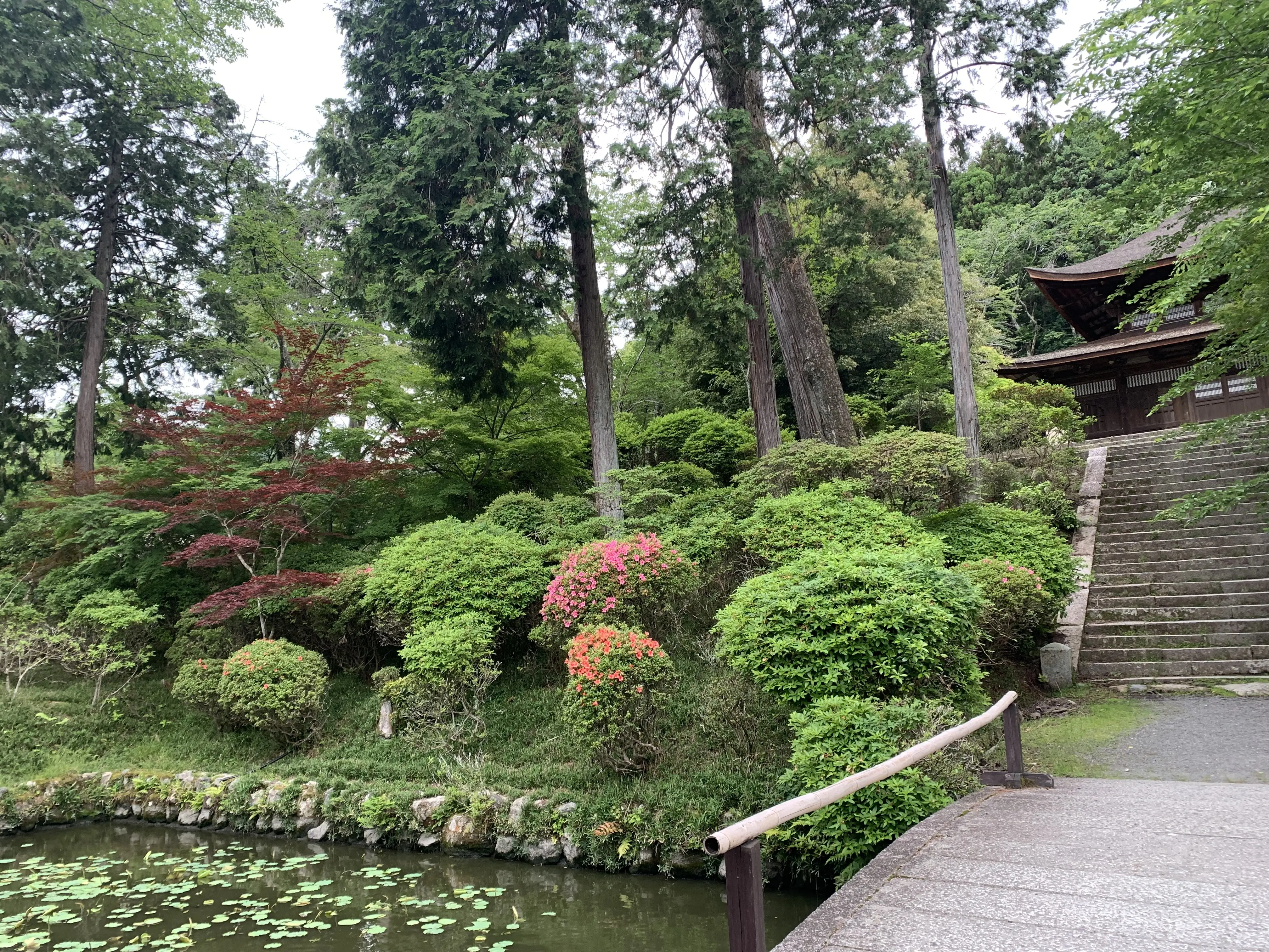 庭園も美しい