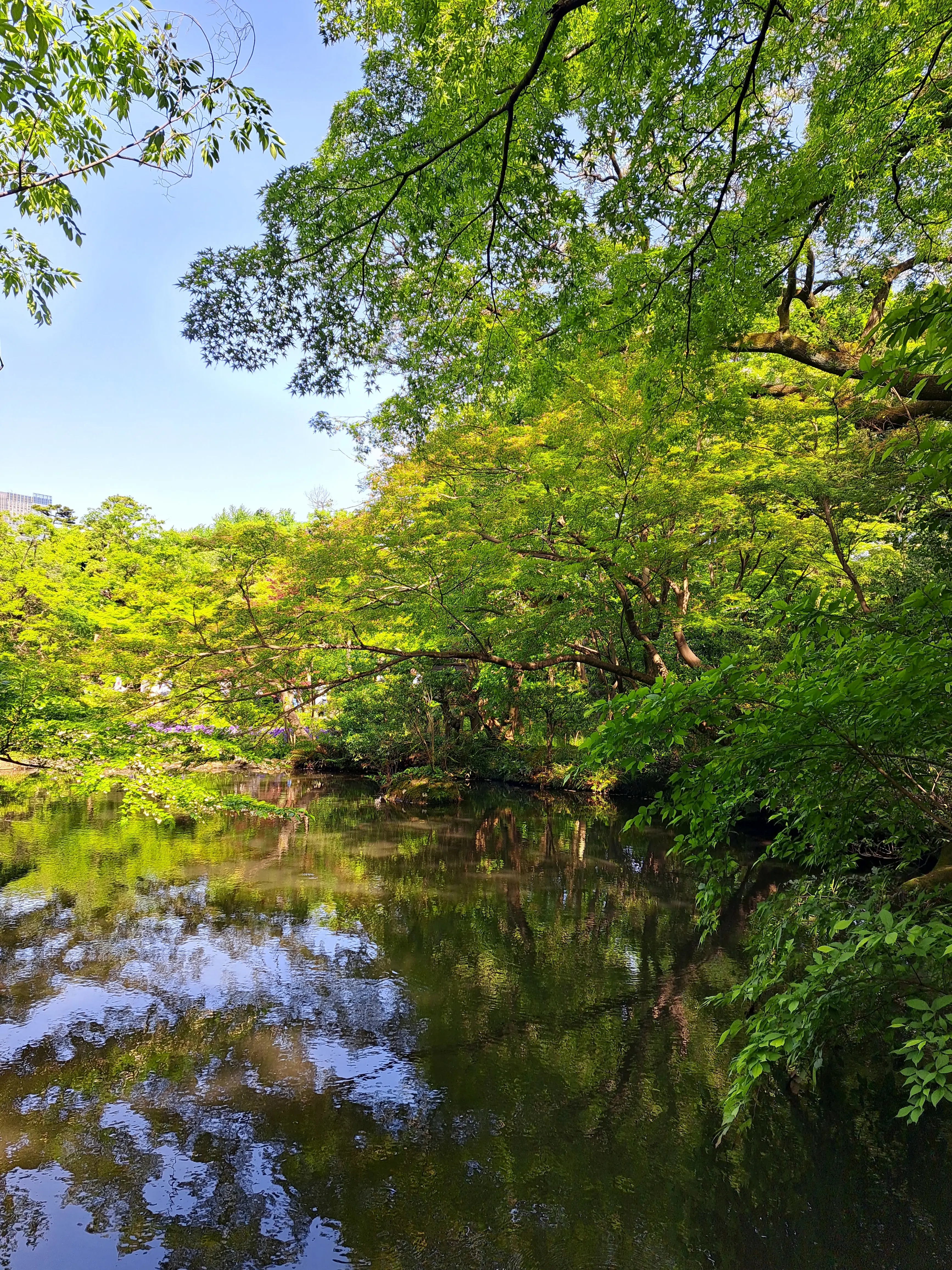 パープルのワンピースで根津美術館 燕子花図屏風展へ_1_4