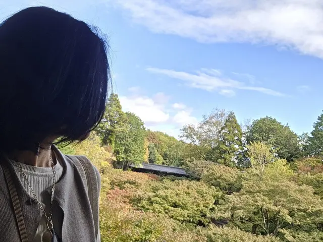 秋の京都ひとり旅・前編 〜弾丸旅の始まりは思い出の場所から〜_1_7