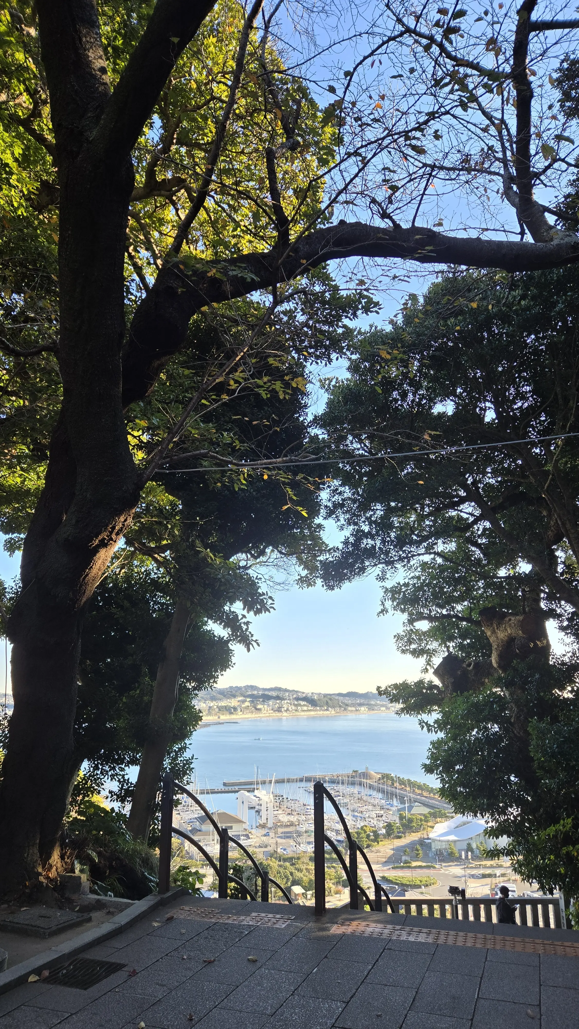 江の島で運気を整える！｢祐気取り｣プチトリップ_1_9-1