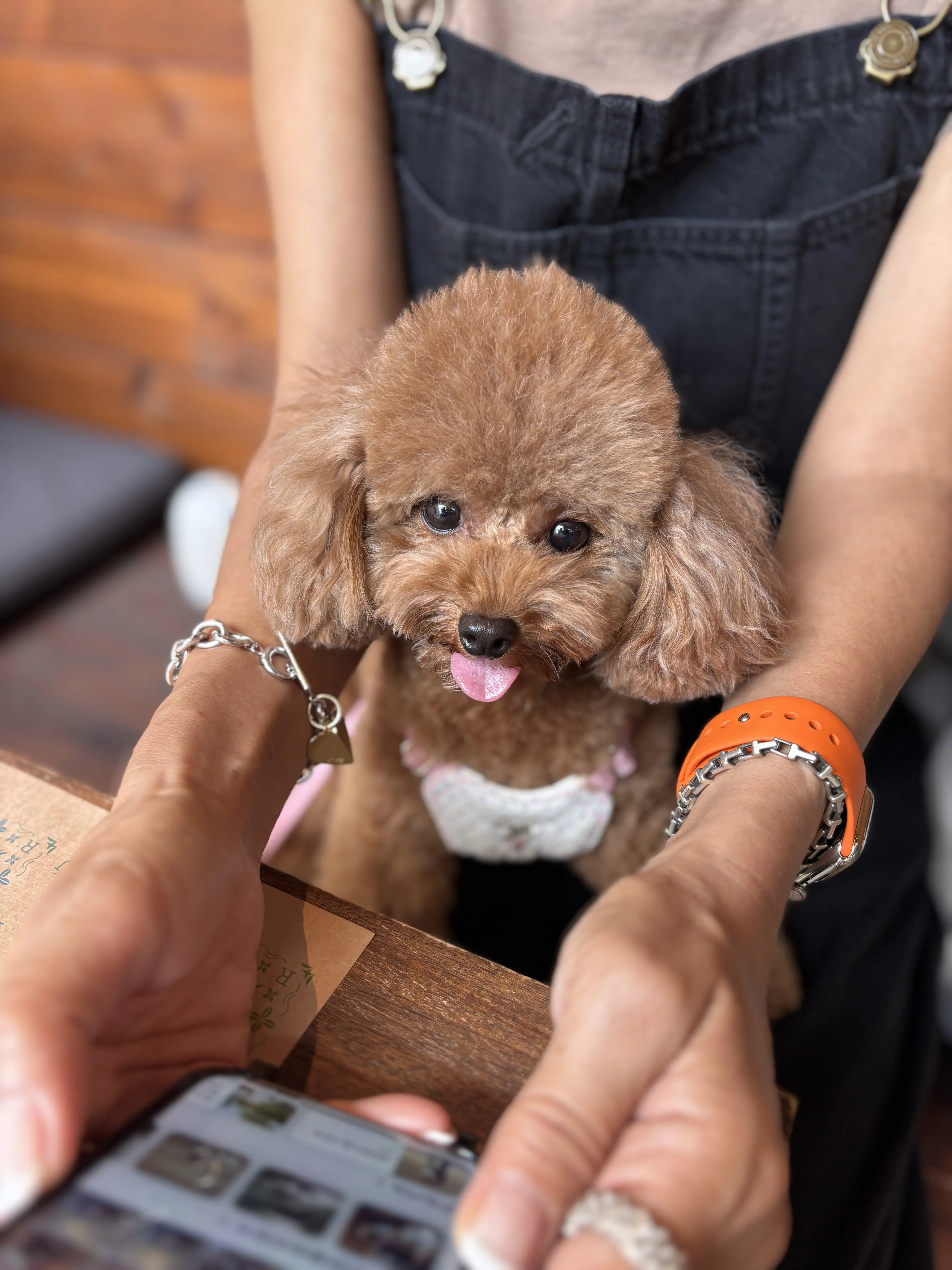 大人スタイルのサロペットstyle_1_10