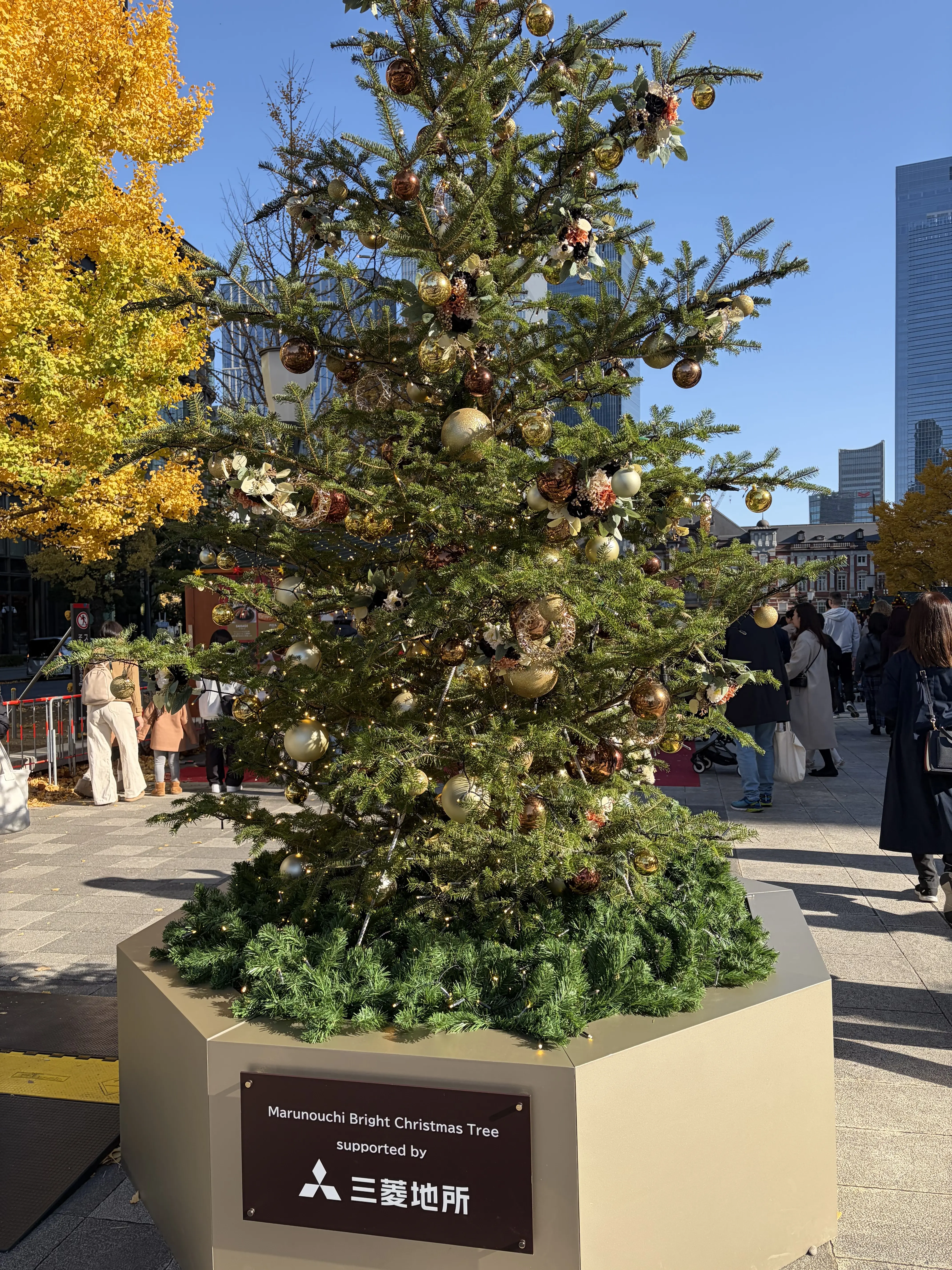 皇居の紅葉から重要文化財「明治安田生命館」内のカフェへ、華やかな丸の内を散策_1_17