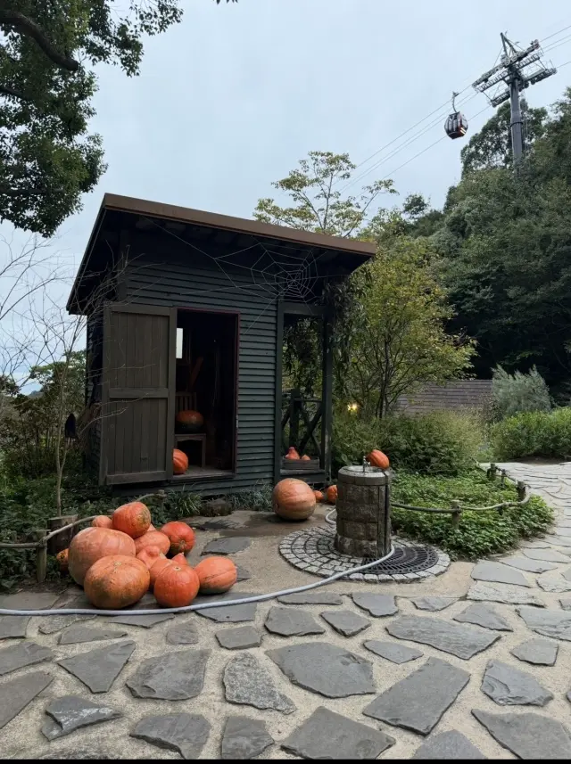 R13のブラックデニムで大人カジュアルコーデ。一足早くハロウィンフェアに！_1_14