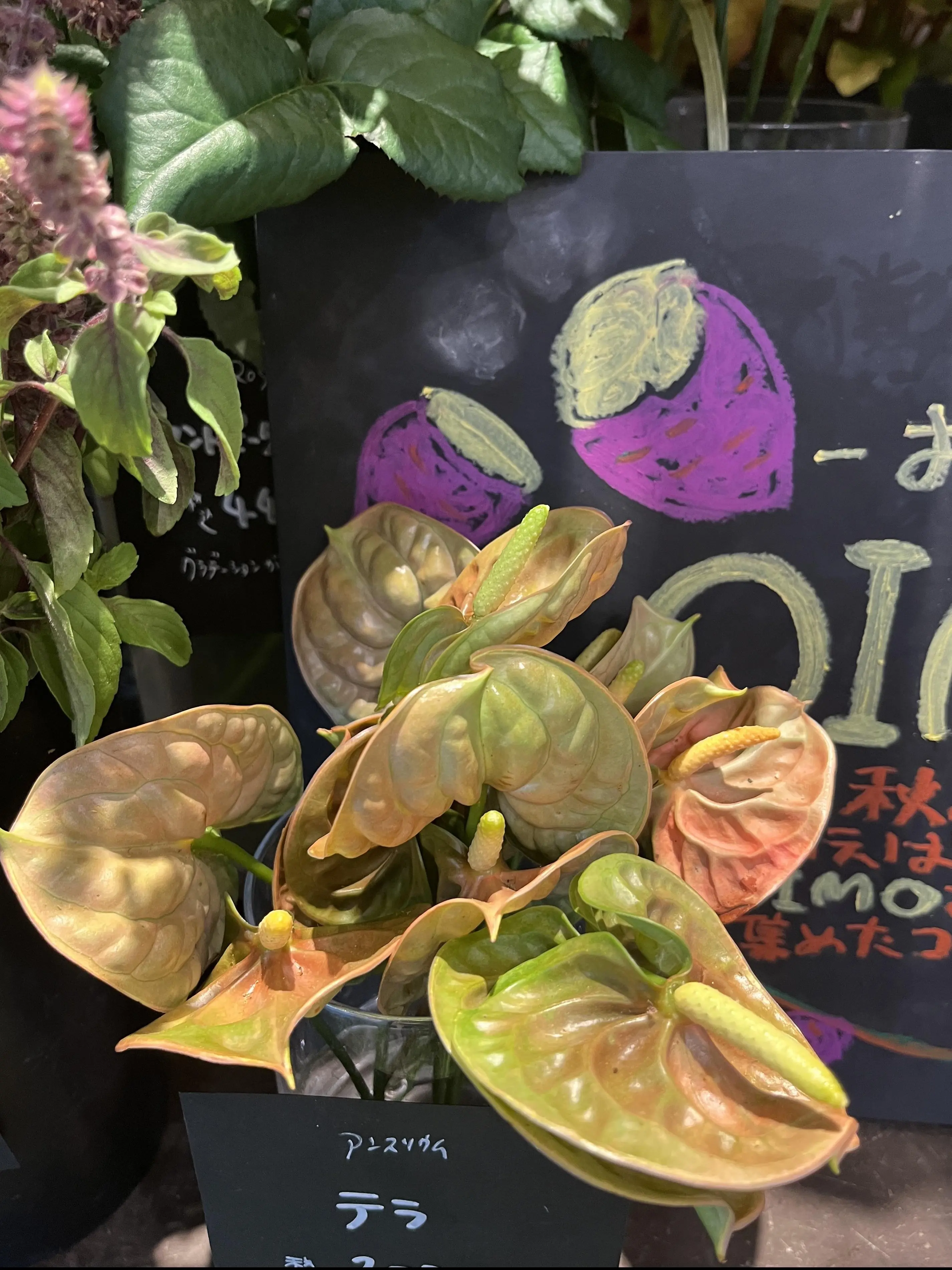 久々の花活♪秋色のお花の中で〝花屋で写真館〟_1_17
