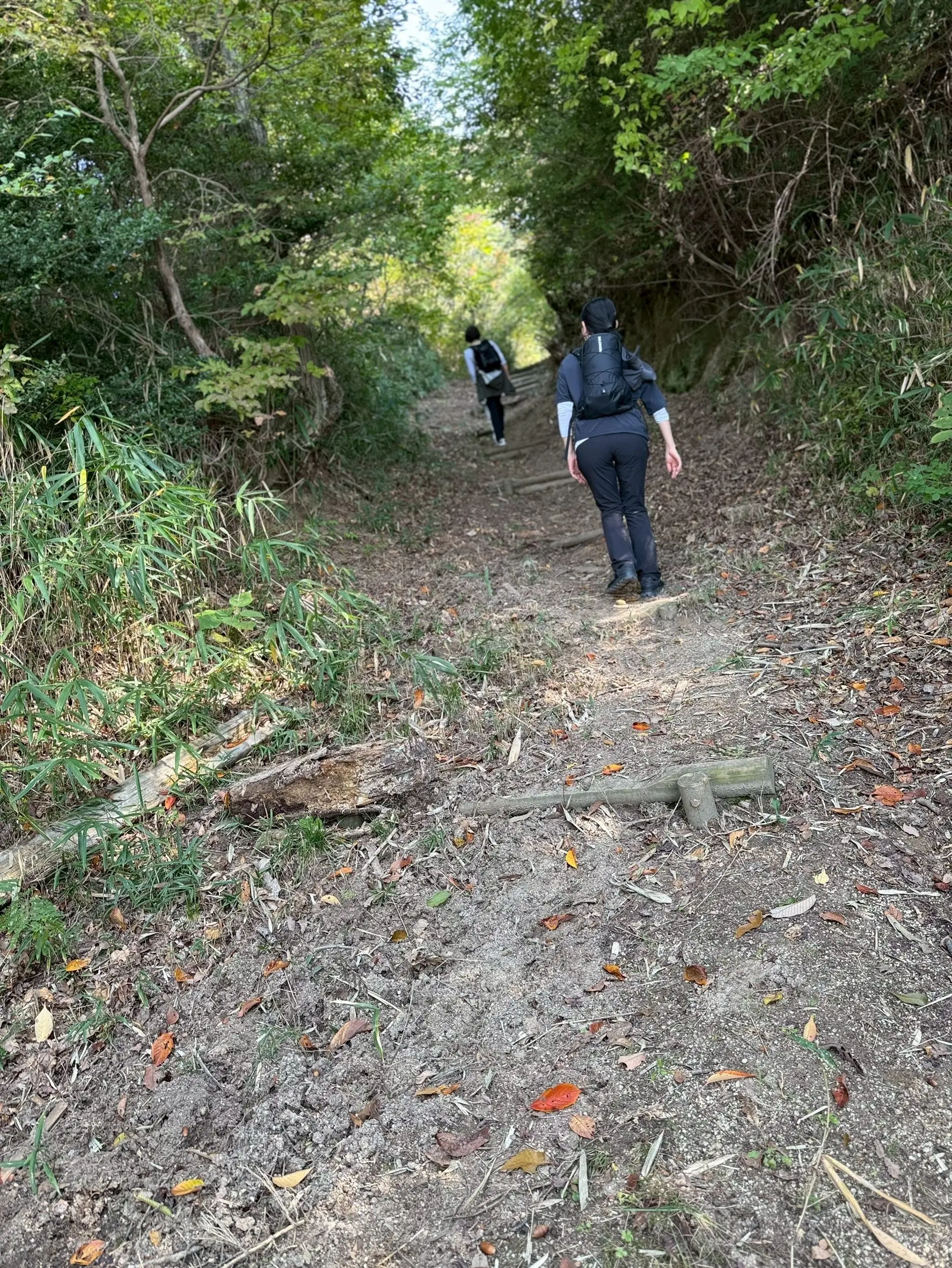 秋を感じる生駒山で山登り_1_3