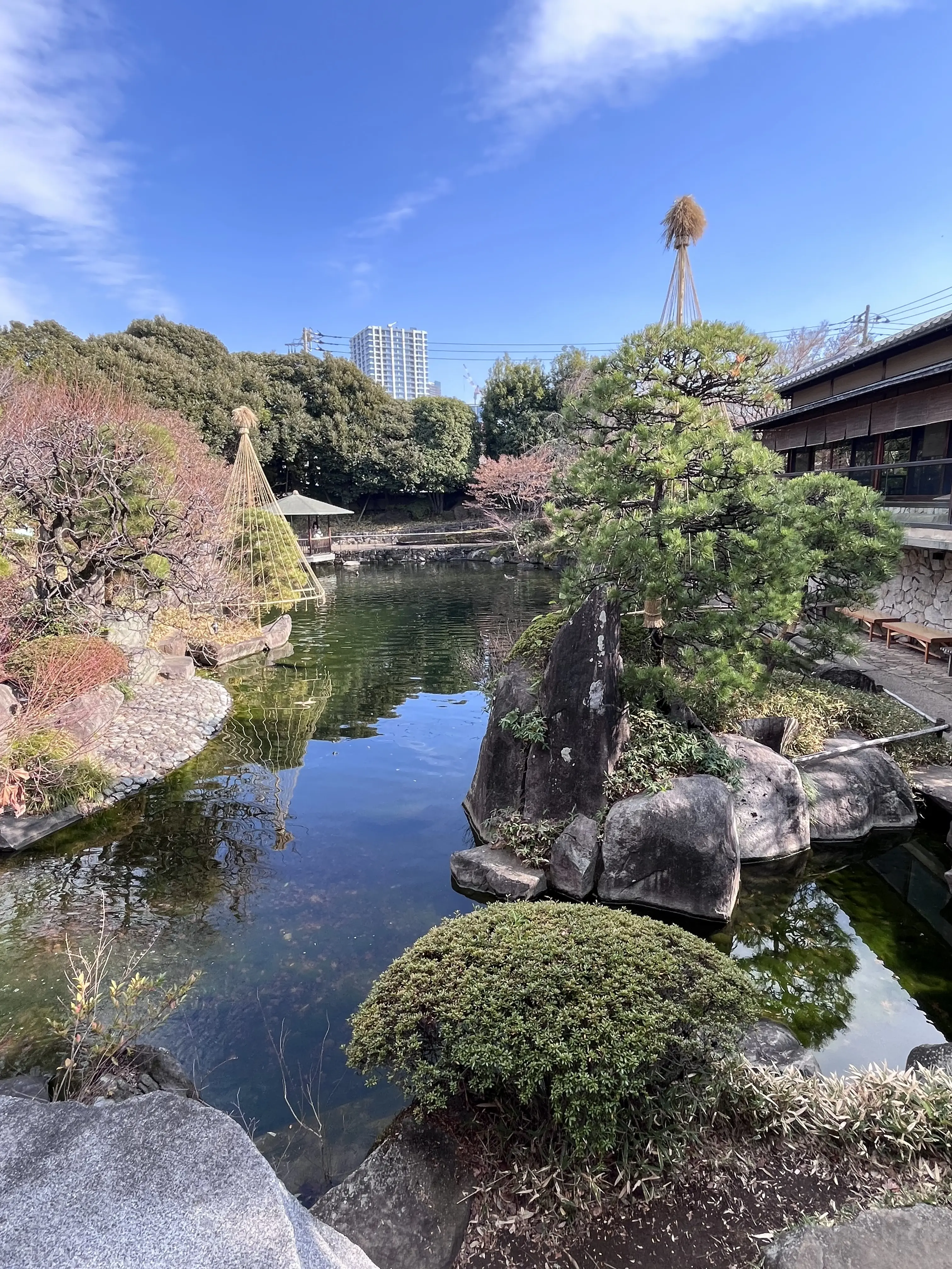 らくらくスニーカーで目白界隈1人散歩_1_9