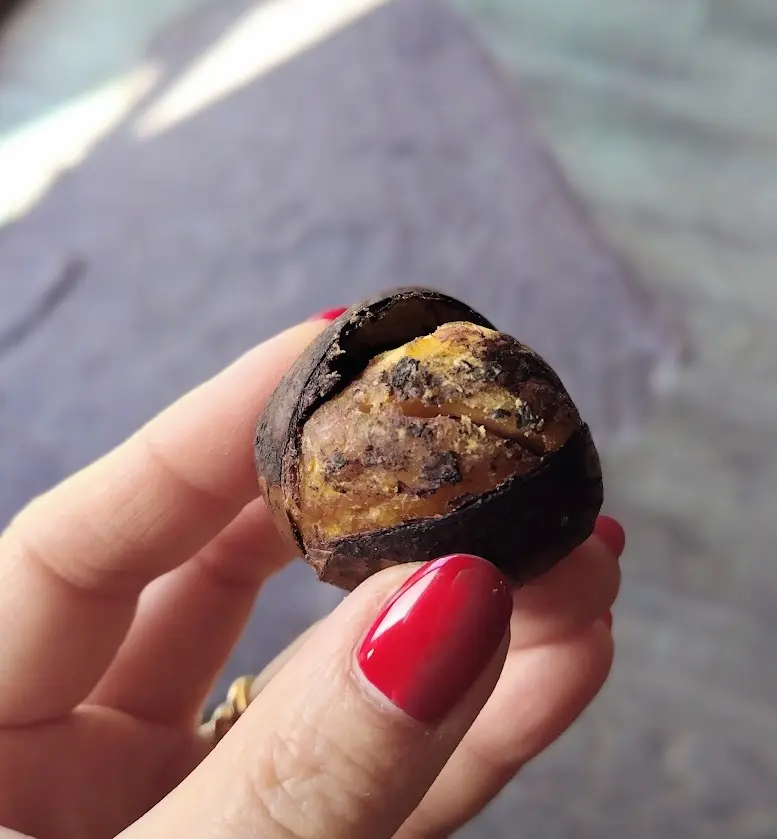 丹波篠山　焼き栗