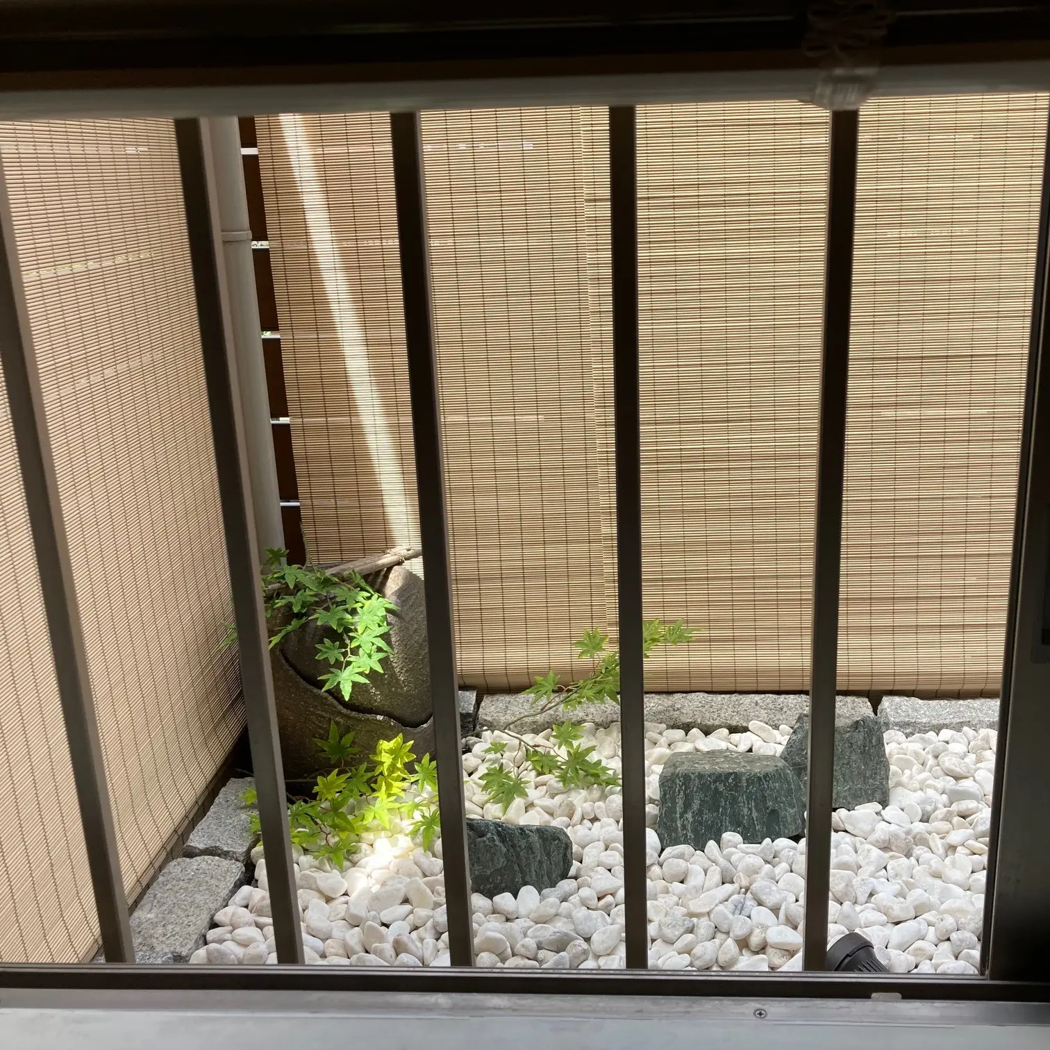 窓から見える玉砂利の小さな坪庭