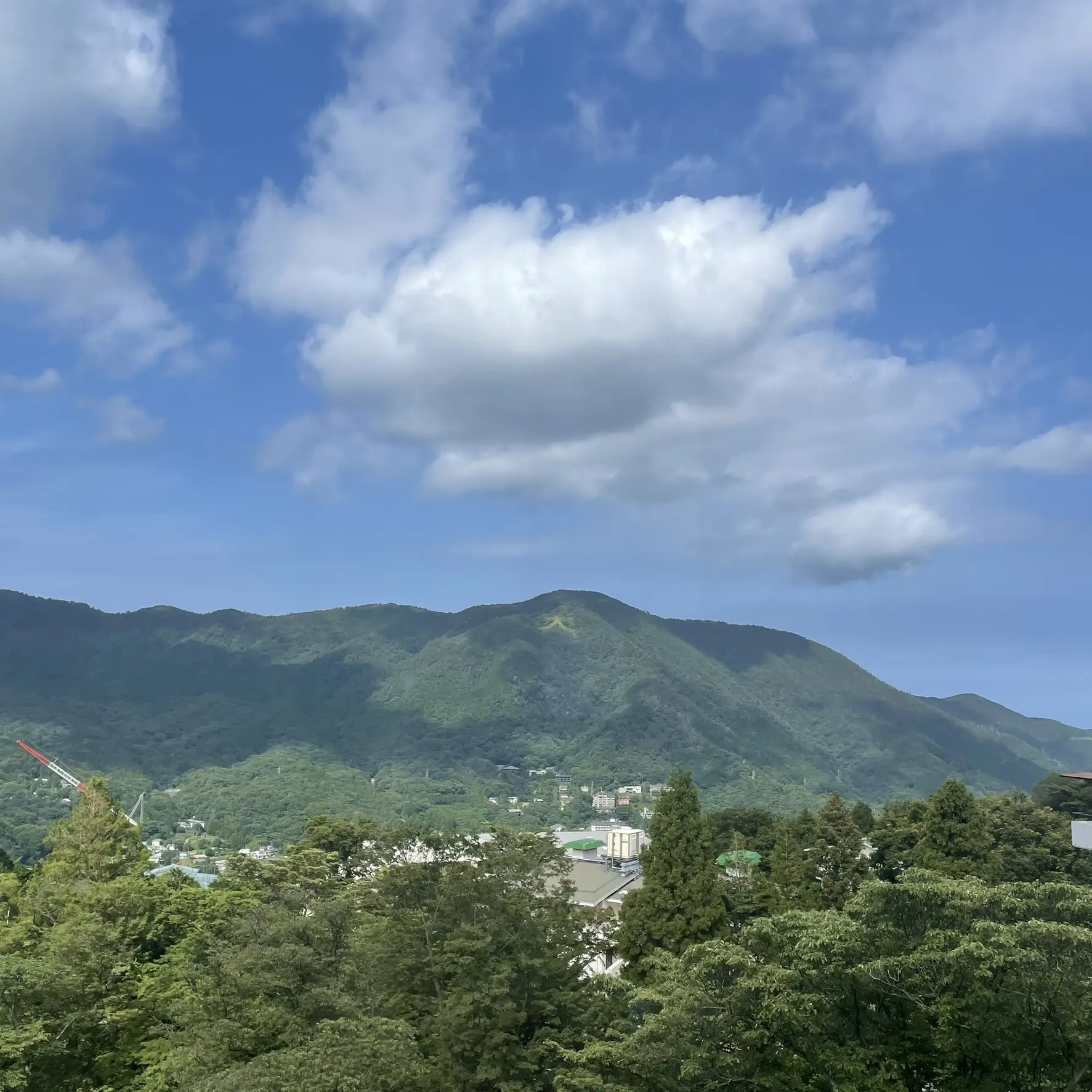 ハイアット リージェンシー 箱根のゲストルームツインからの朝の景色