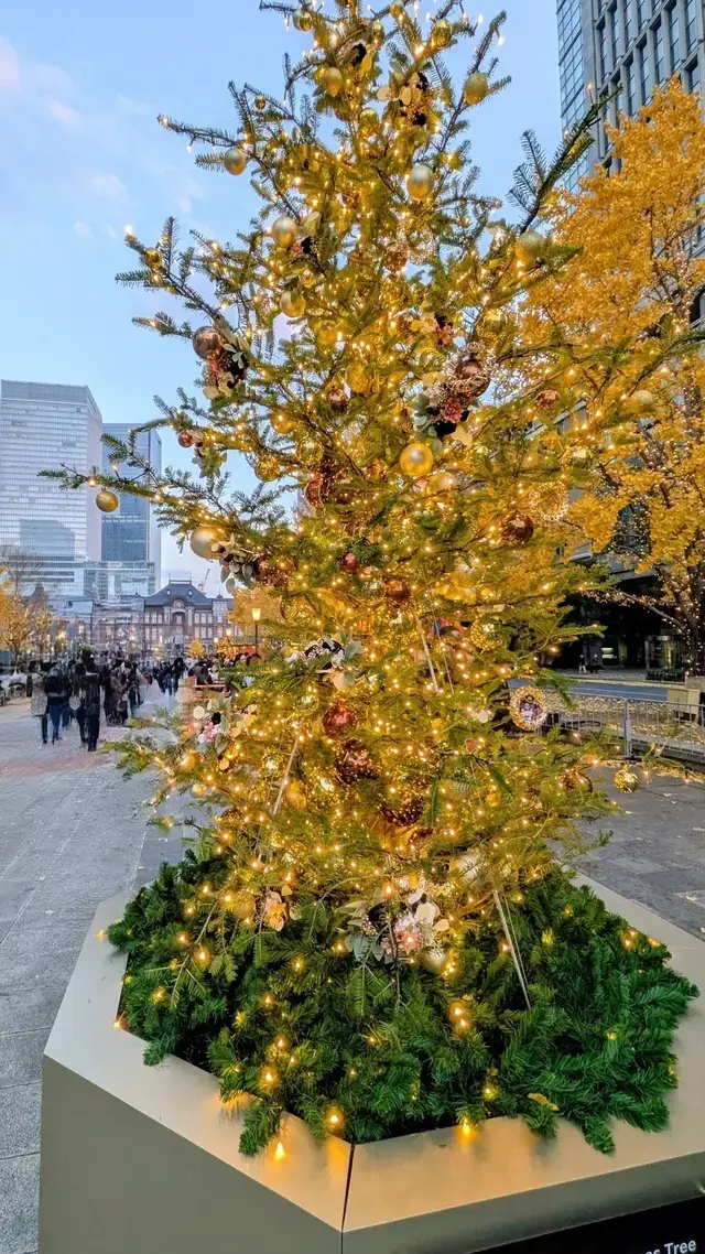東京駅前 行幸通り広場