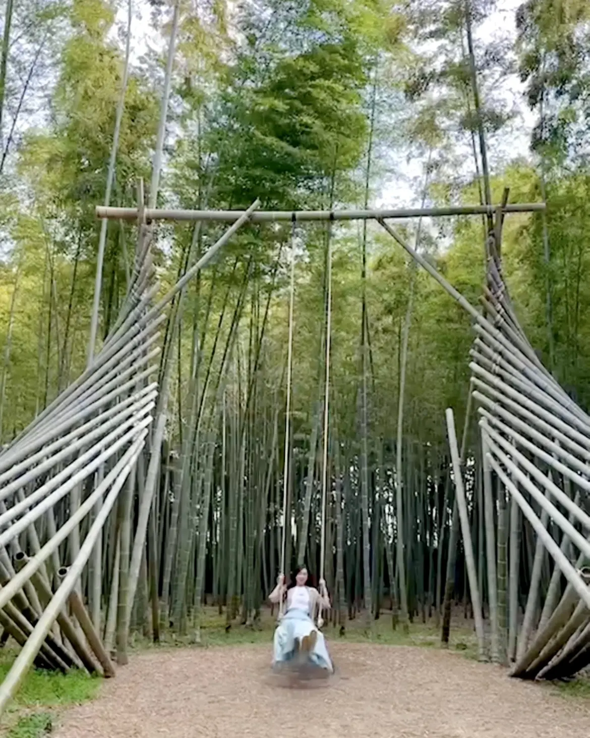 こんな大きな竹のブランコもあります