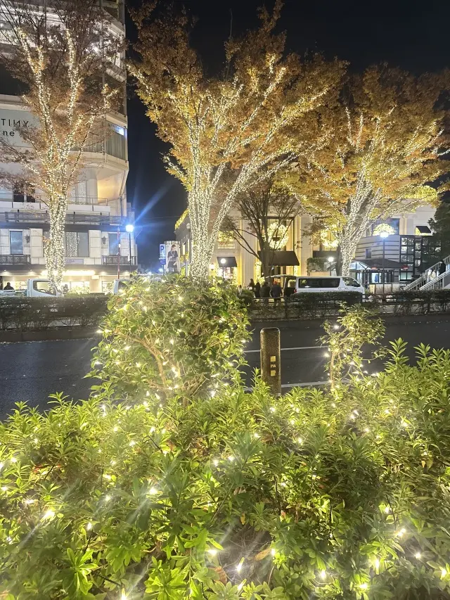 原宿クリスマスランチをブラウン×ホワイトコーデで_1_6