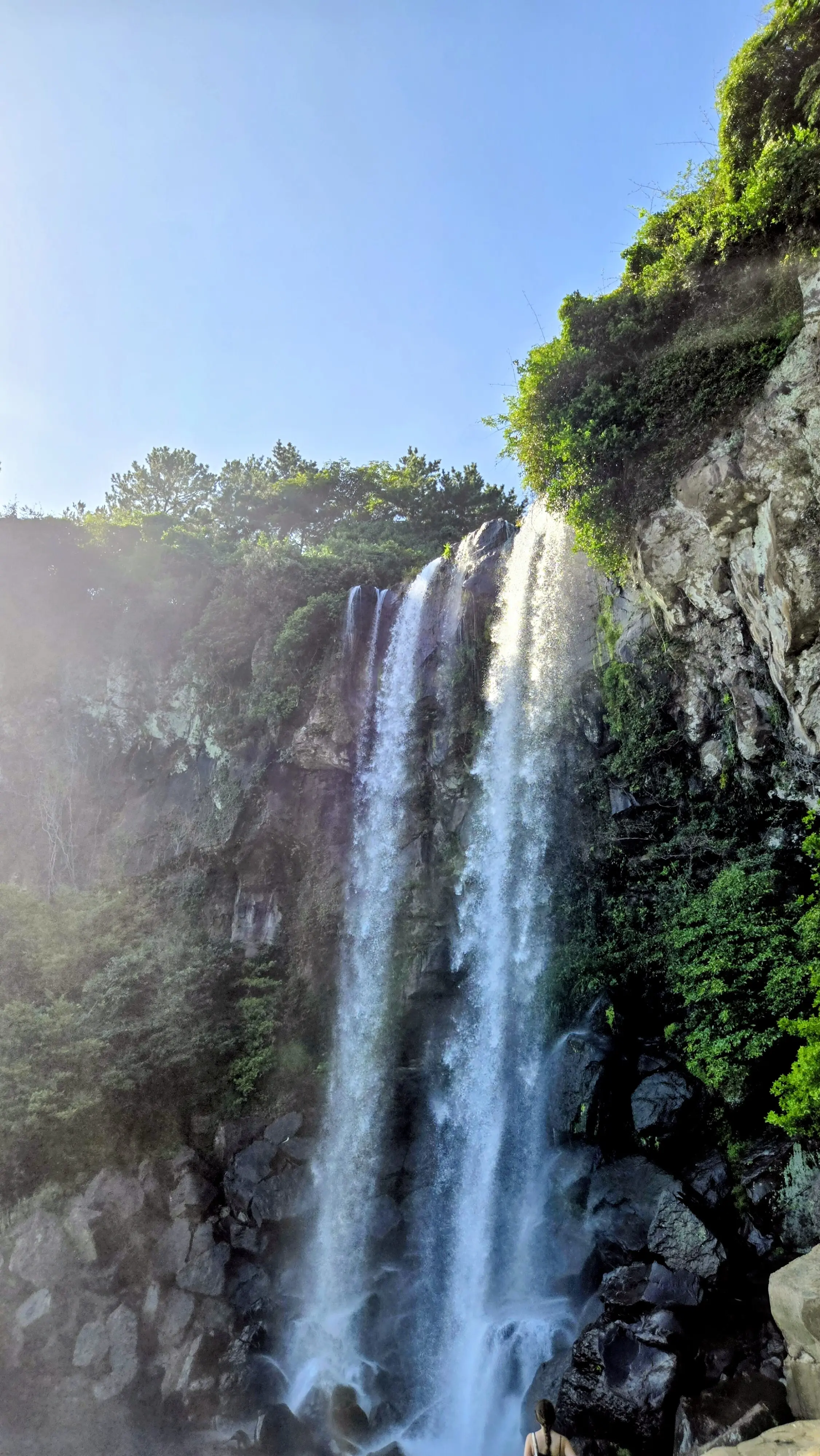 家族で楽しむクルーズ旅行！　MSCベリッシマで行く済州島＆鹿児島寄港③_1_6