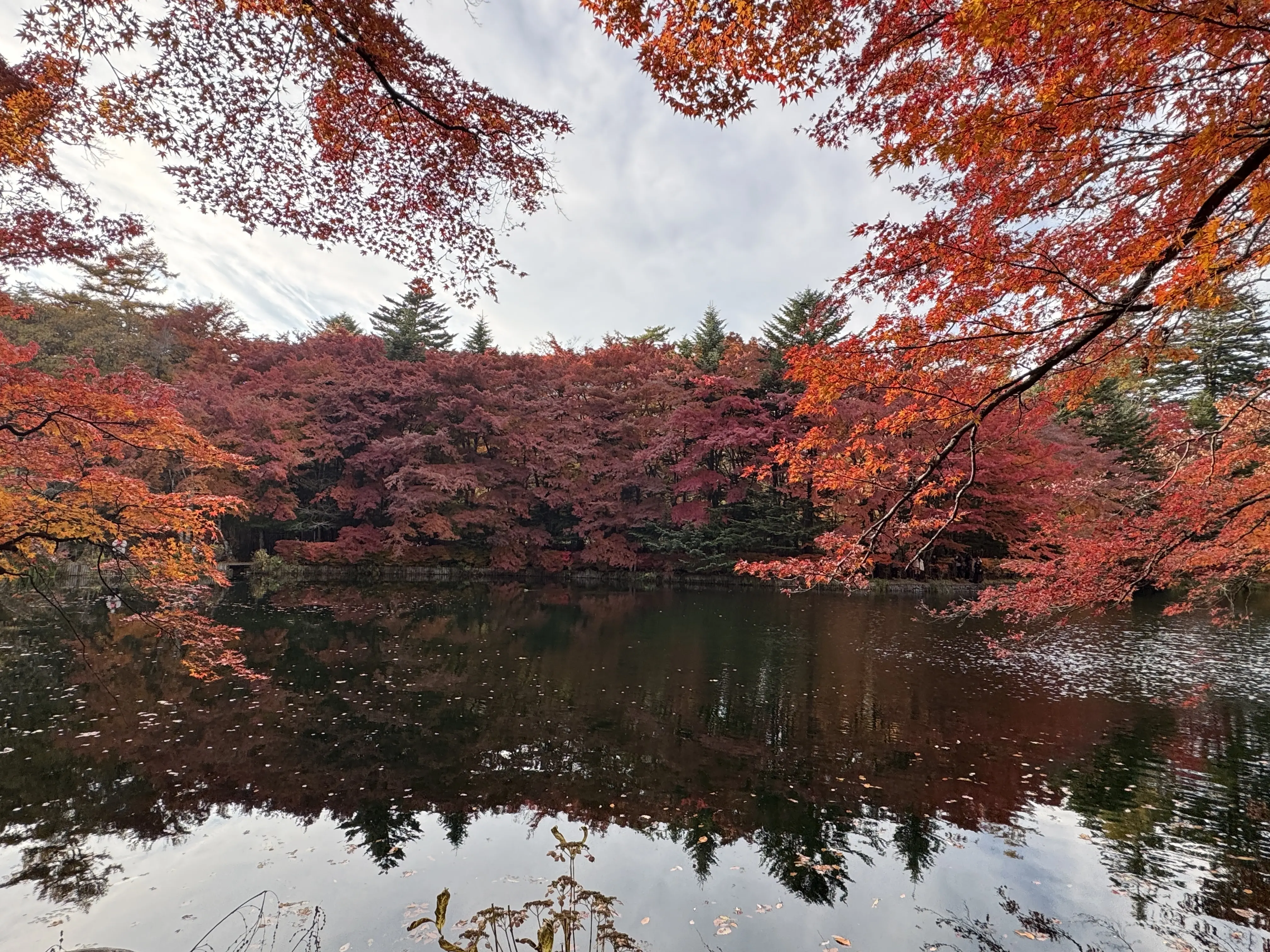 雲場池　紅葉