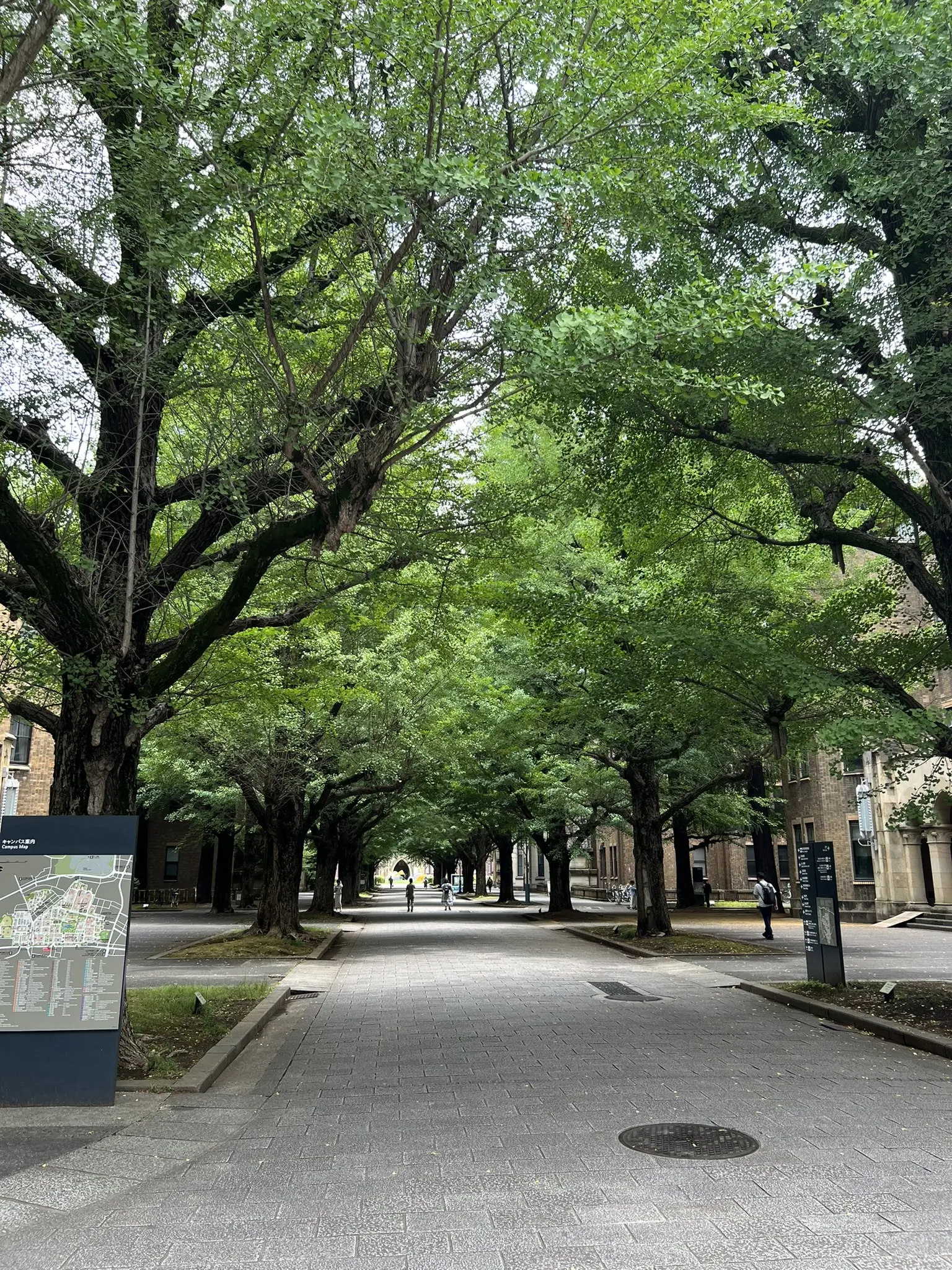 東京大学