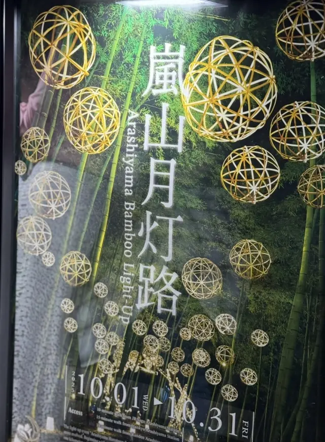 京都「嵐山月灯路」の幻想的な世界へ_1_2