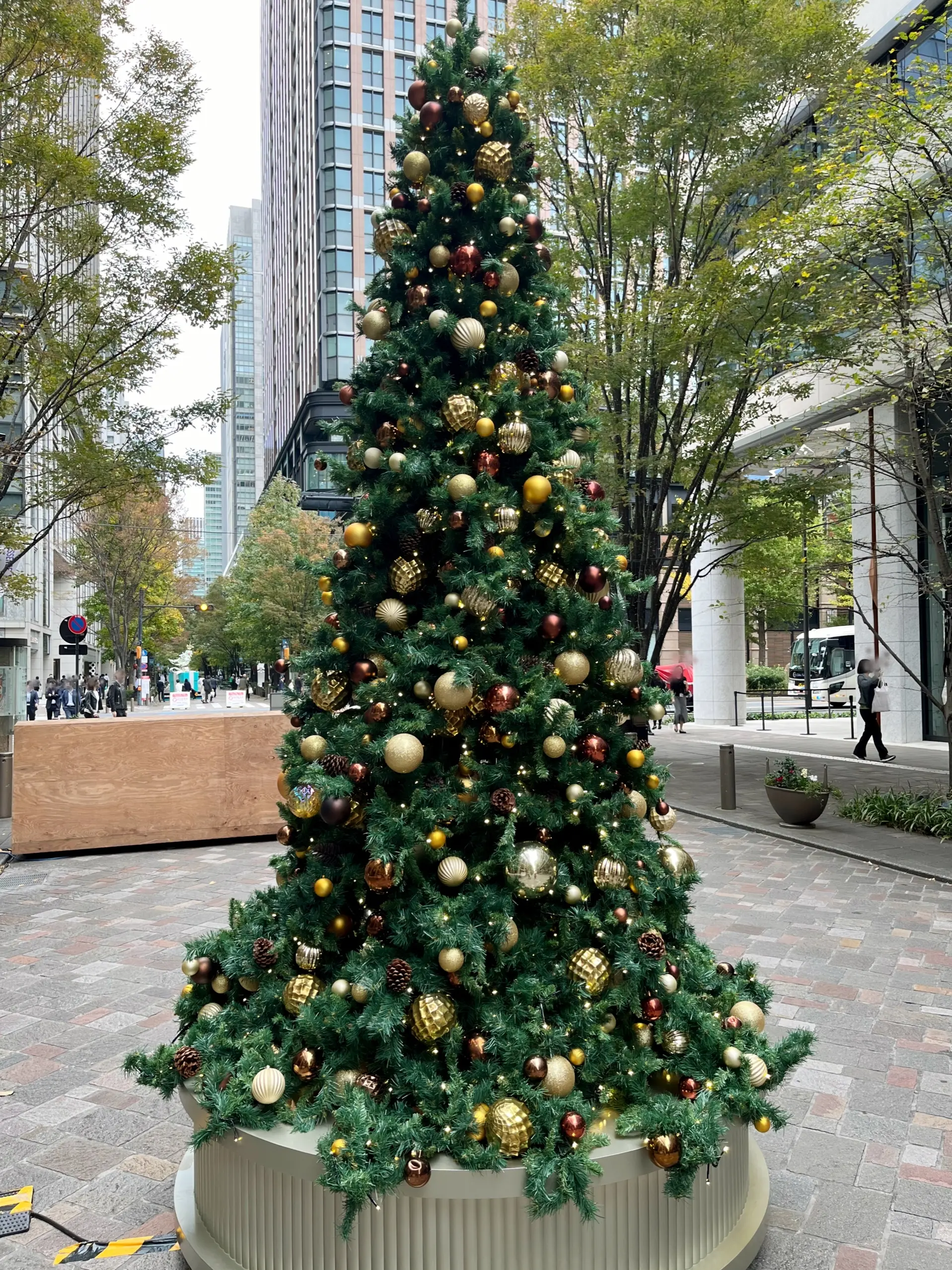 クリスマスがやって来るから_1_12