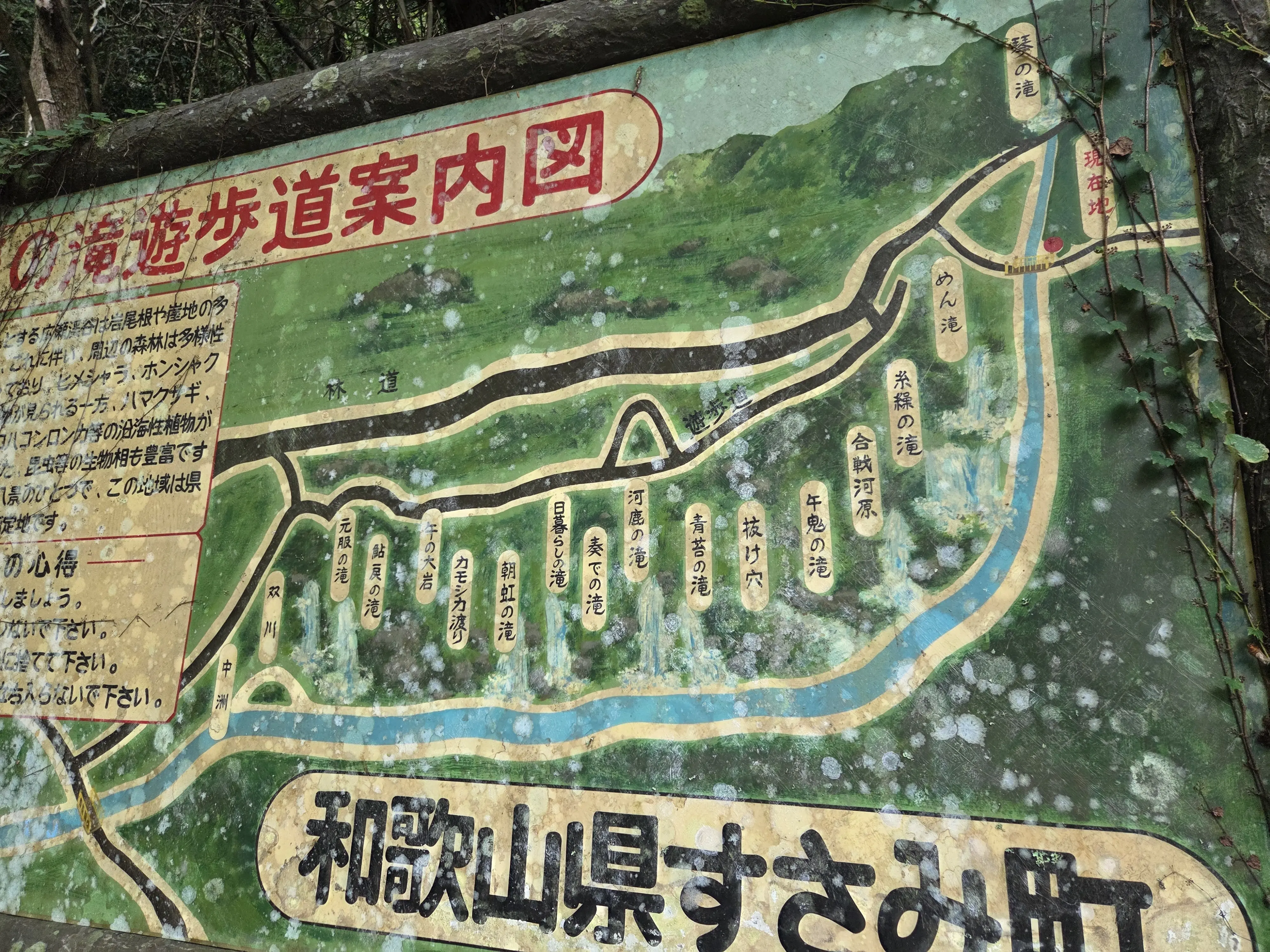 和歌山県