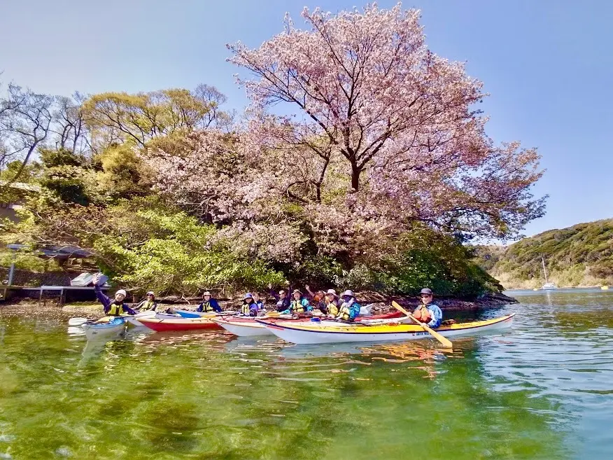 海からお花見