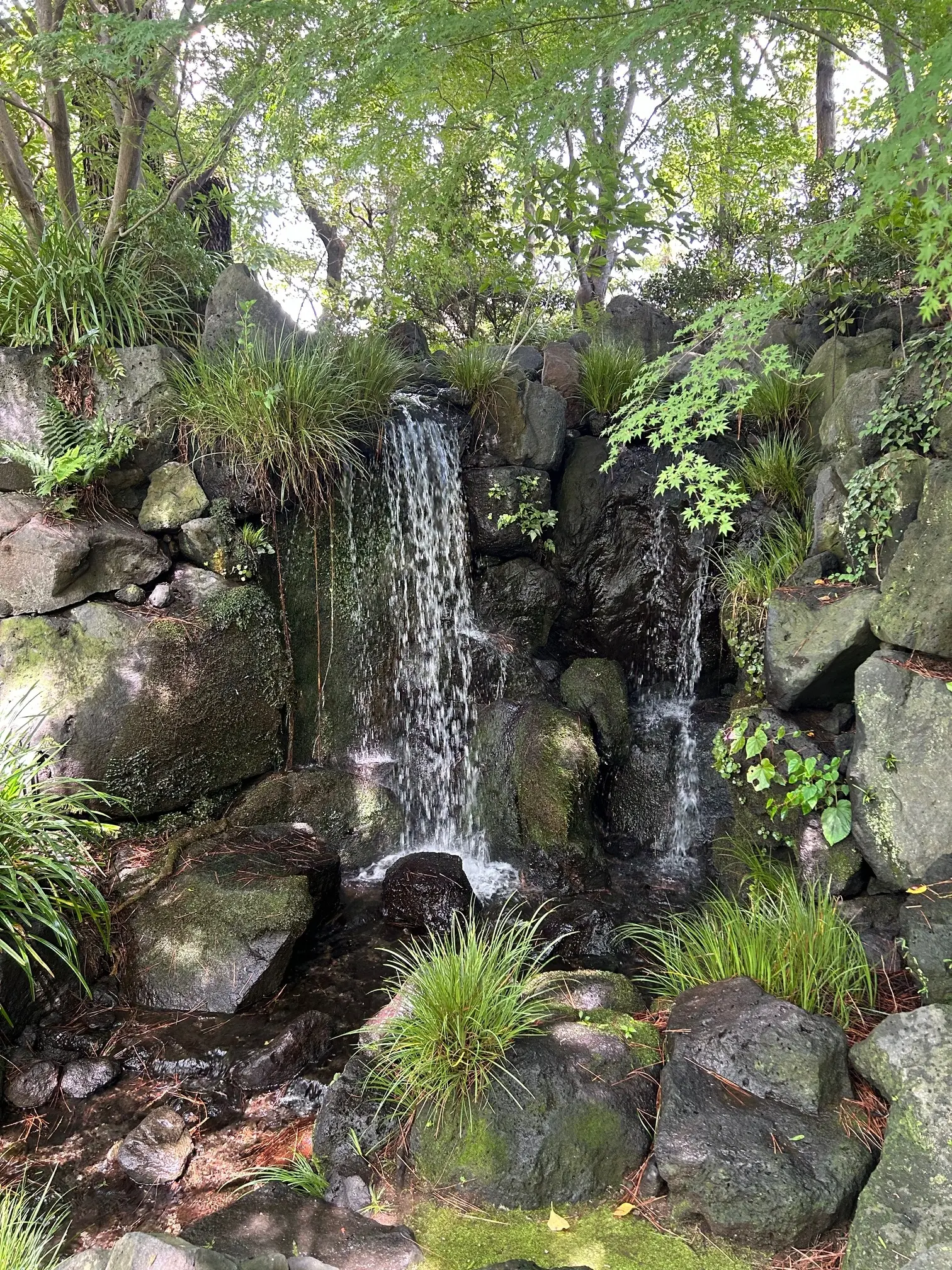 紅葉山庭園