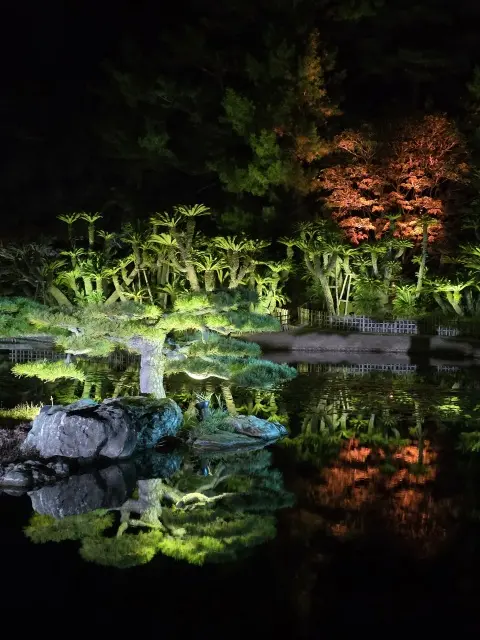 栗林公園ライトアップ_1_8