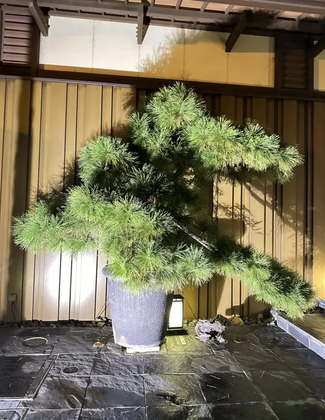 秋の京都の夜は、清水寺へ。_1_10