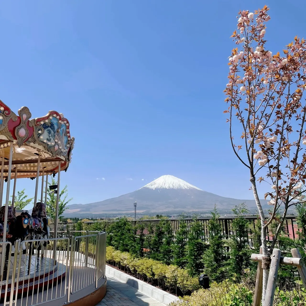富士山とおいしい空気とショッピング_1_5