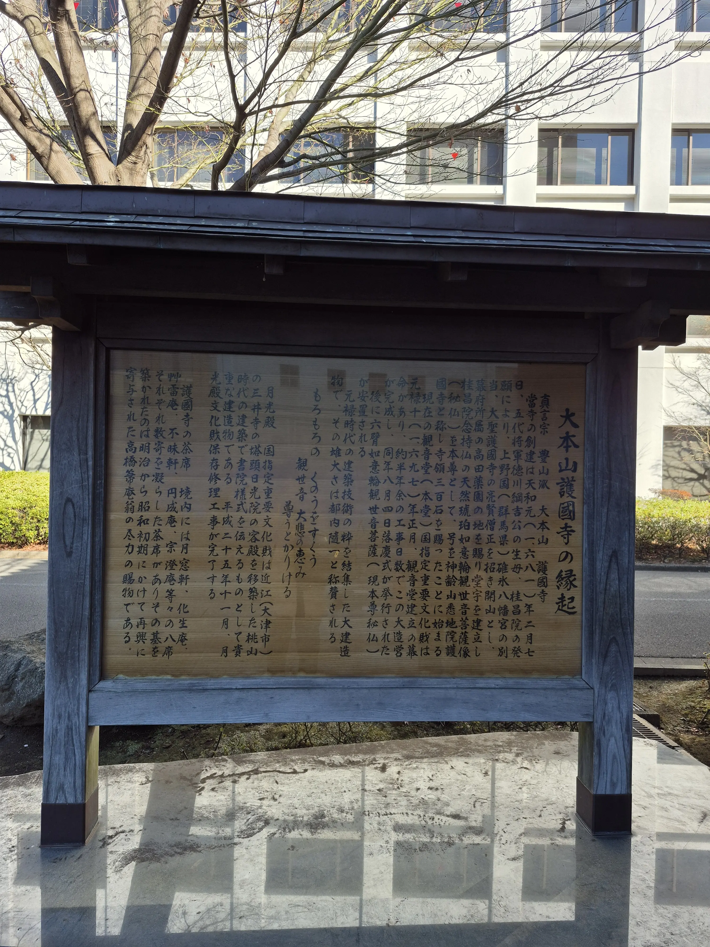 2026年【初詣レポ】護国寺のパワースポット&amp;グルメ_1_10-1