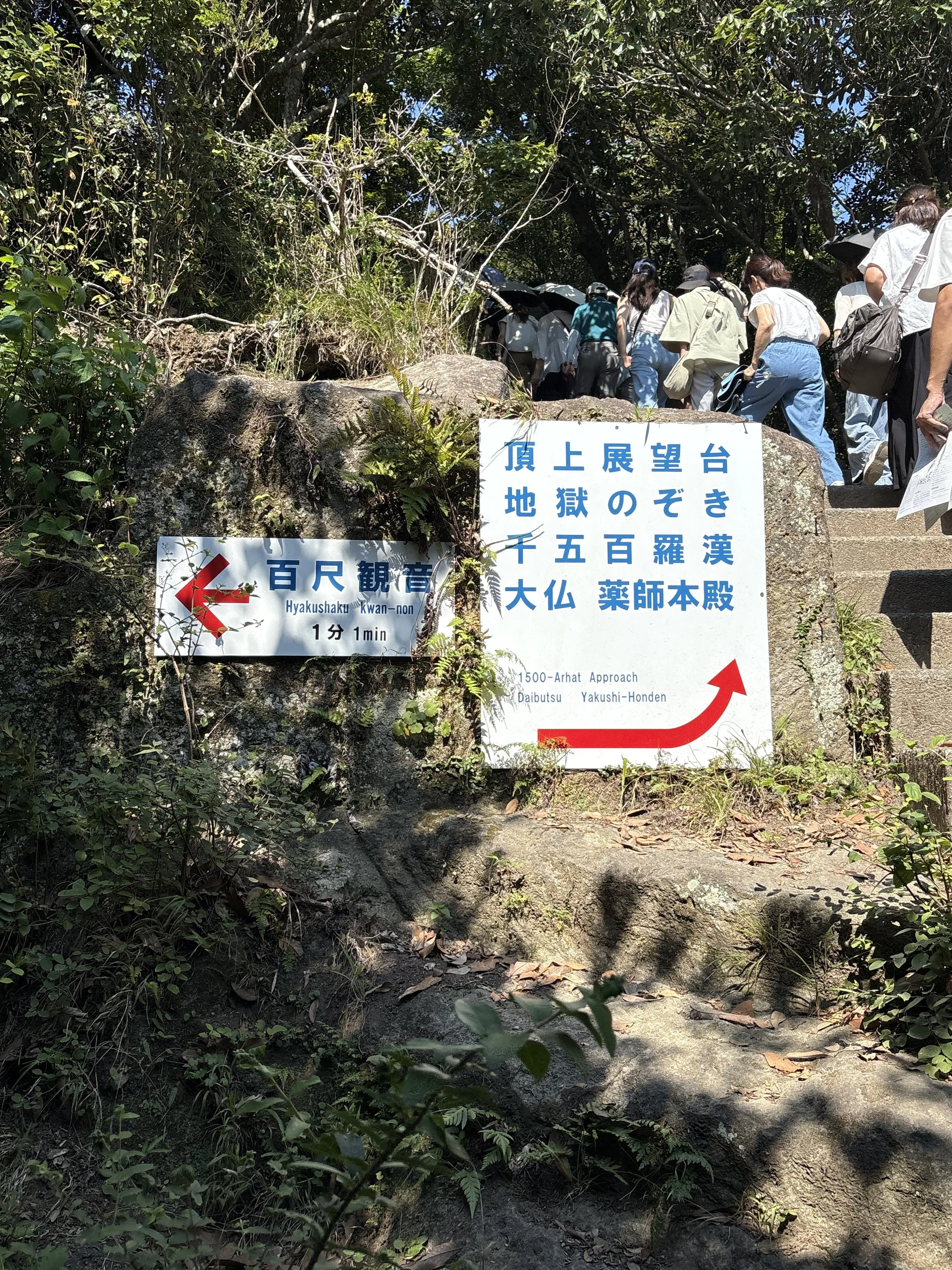 館山　千葉　夏休み　夫婦旅行