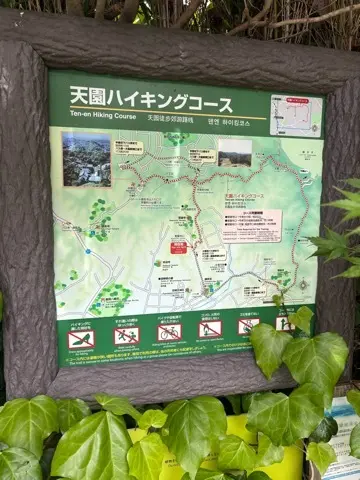 新緑眩しい鎌倉ハイキングに出掛けませんか？_1_8
