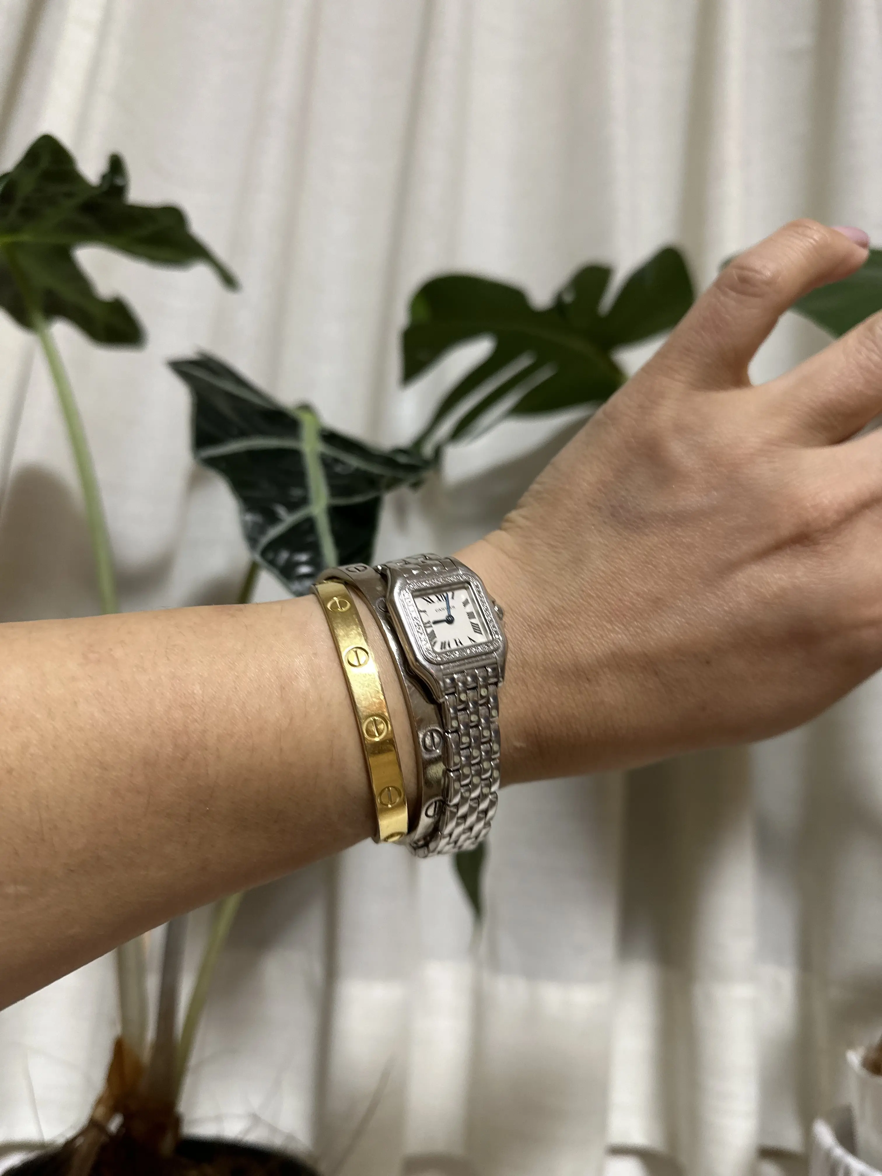 Cartier&quot;INTO TO THE WILD&quot;へ_1_11-2