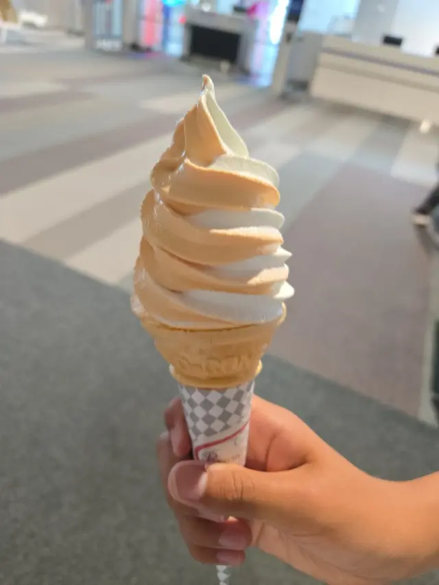 行き当たりばったり弾丸旅行～札幌その2_1_11