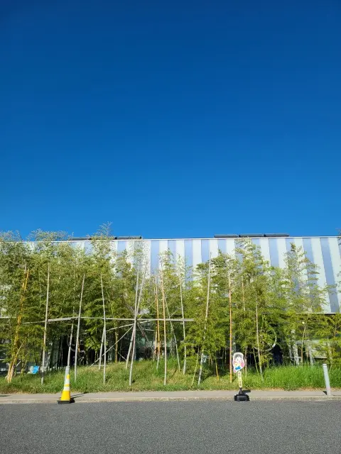 道の駅_1_1