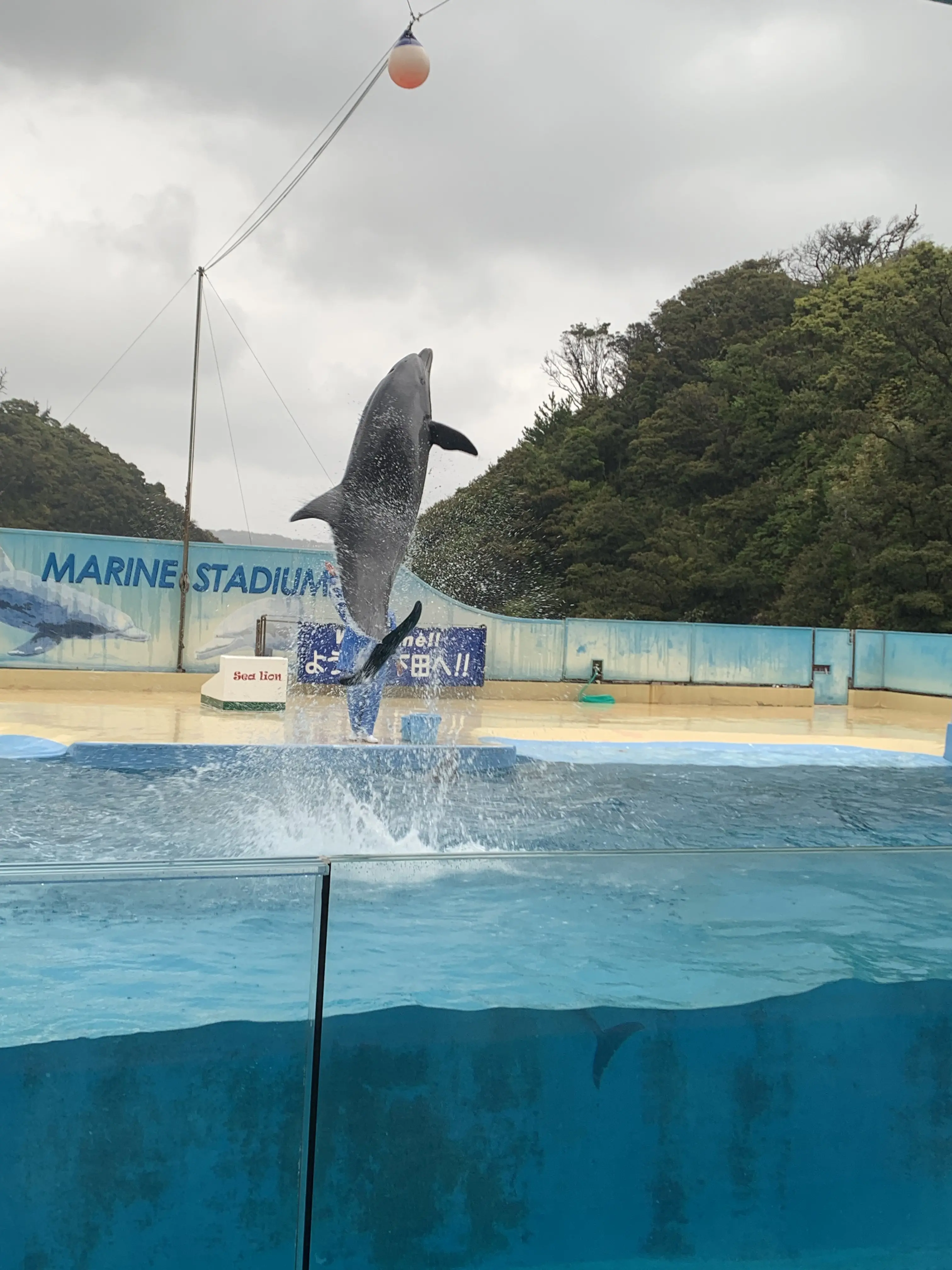 今年の春旅はハリウッド女優もお忍びで訪れる美人の湯 下田観音温泉へ【後編】_1_13