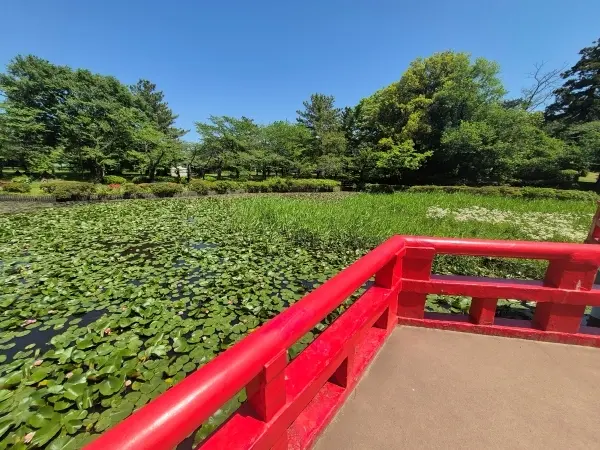 今が見ごろのバラ園と｢孤独のグルメ｣で人気♪キセキのとんかつ_1_7