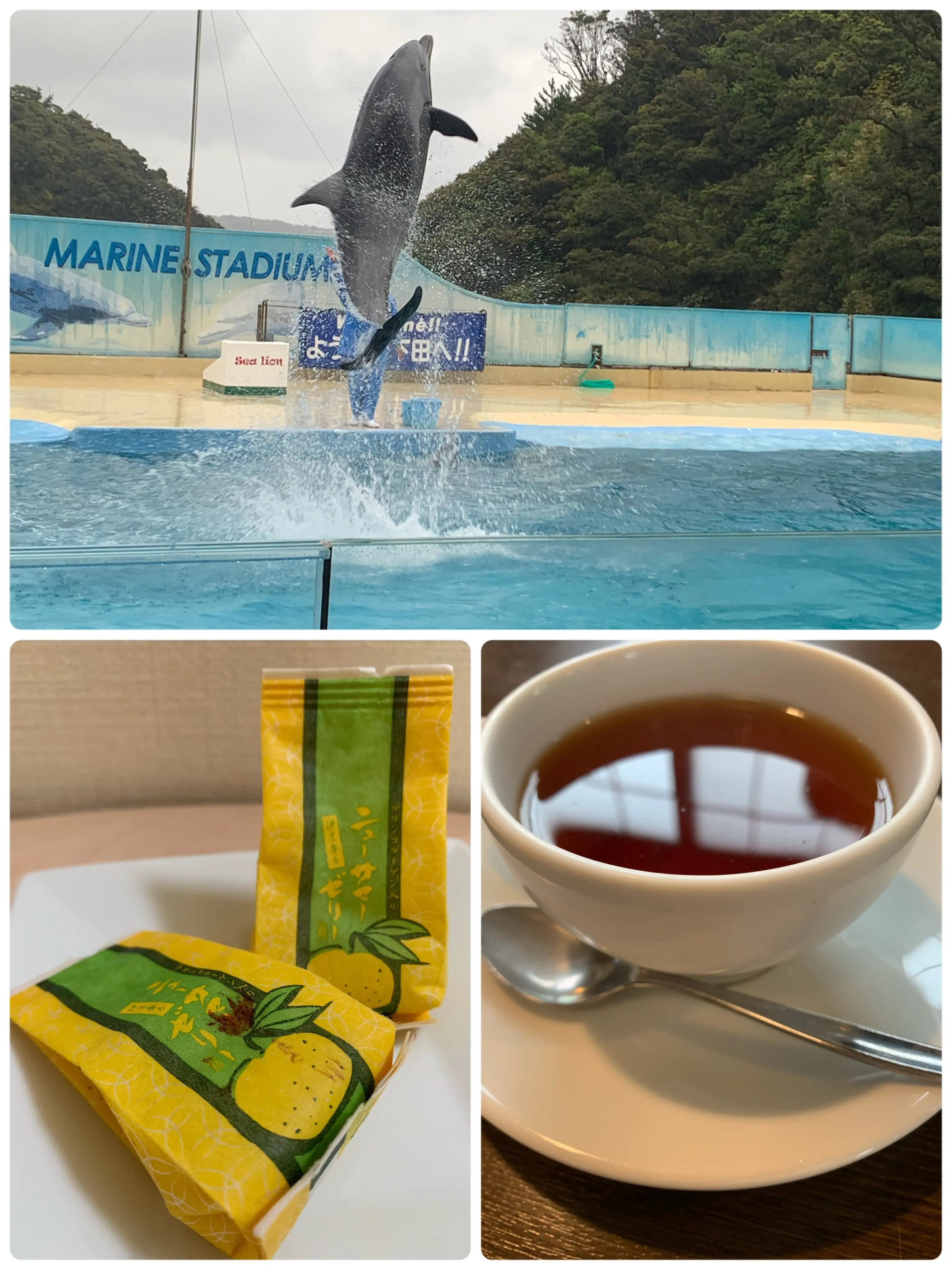 旅の思い出の写真3種