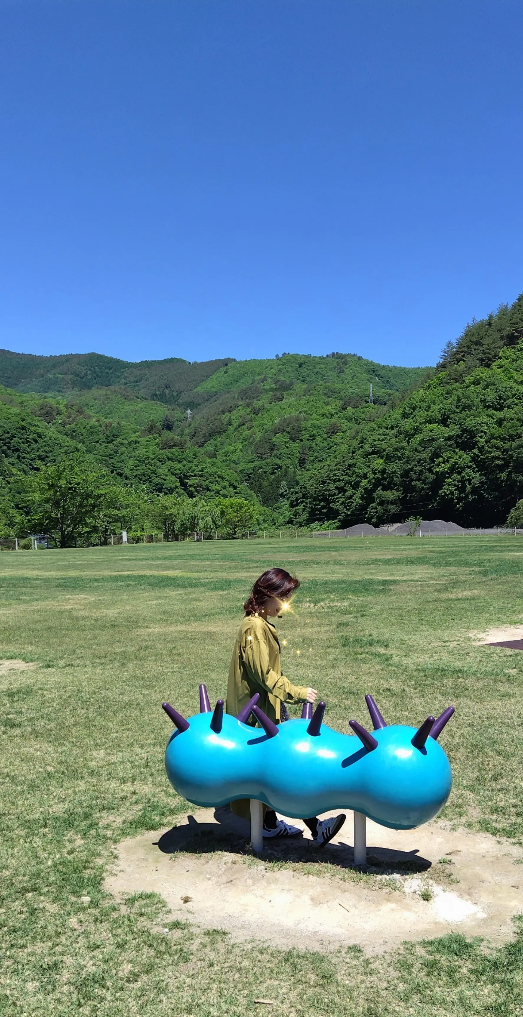 道の駅やまびこ館　芝生の広場