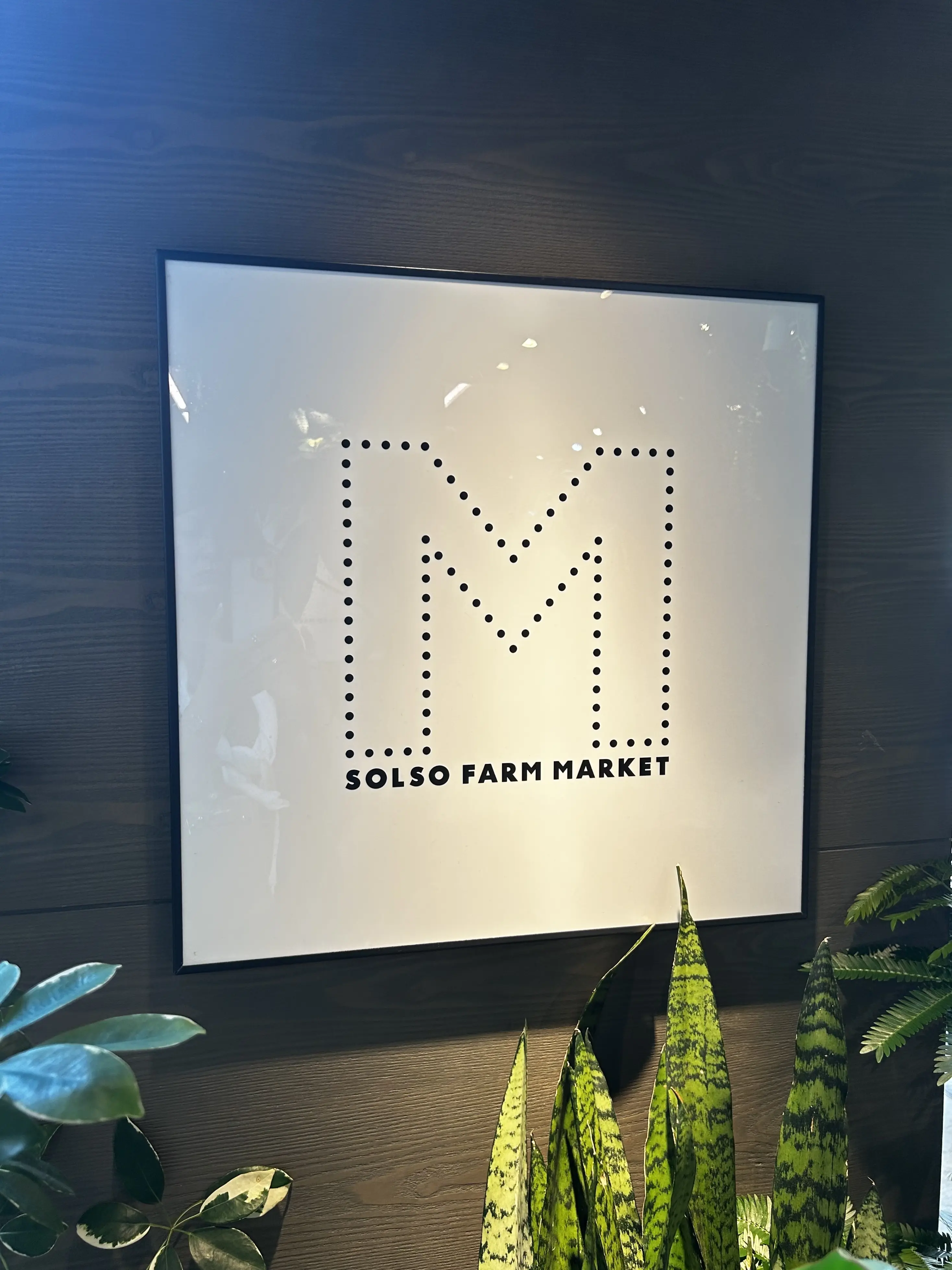 湘南 T-SITE  蔦屋書店　solso farm market