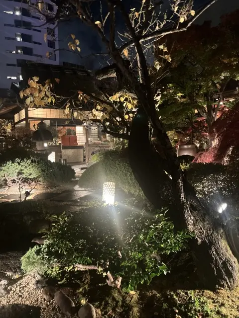 とうふやうかいでいつメンディナー_1_13